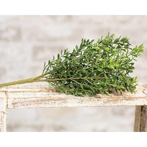 New Primitive Cottage Farmhouse GREEN NEW ENGLAND BOXWOOD PLANT BUSH Stem Pick