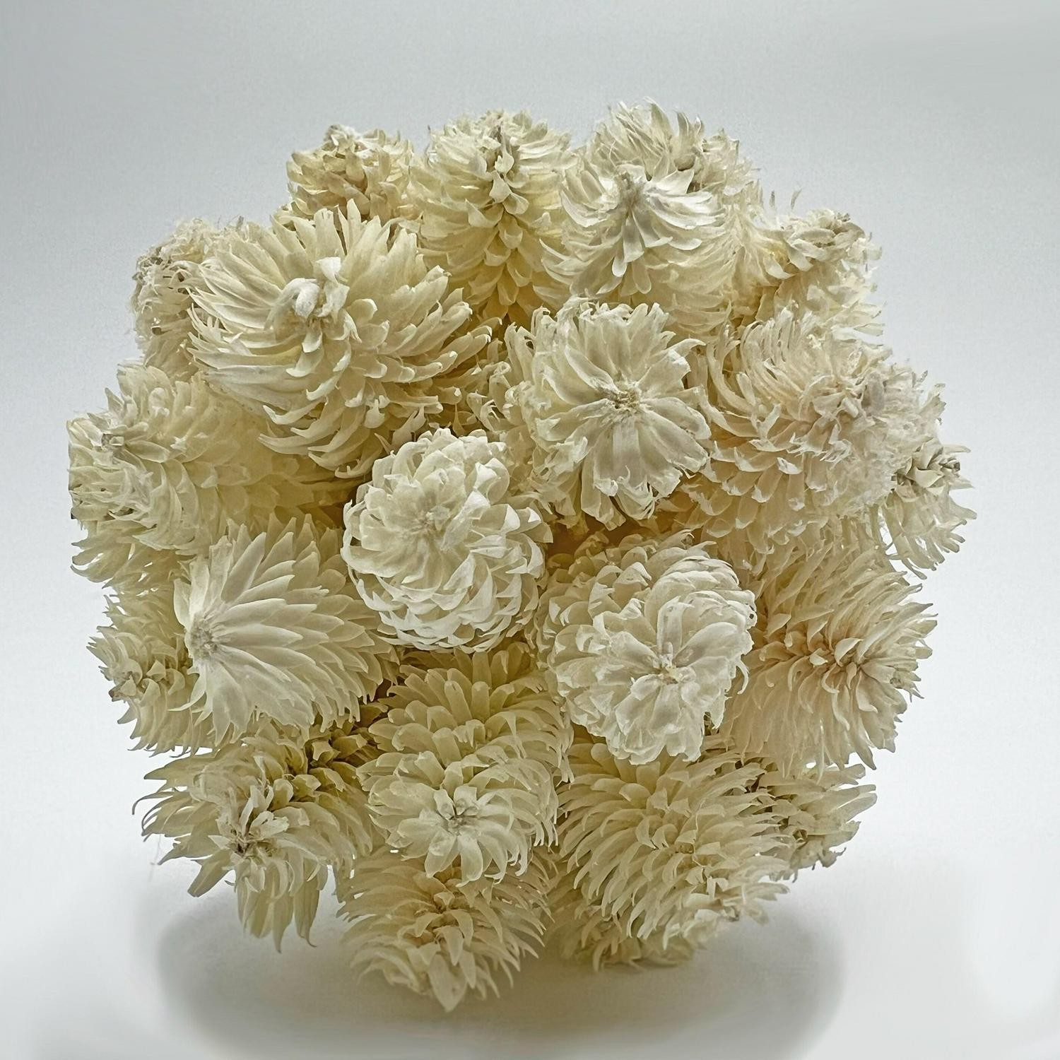 Preserved Decorative Conifer And Pinecone Topiary Balls – White – Set Of 4