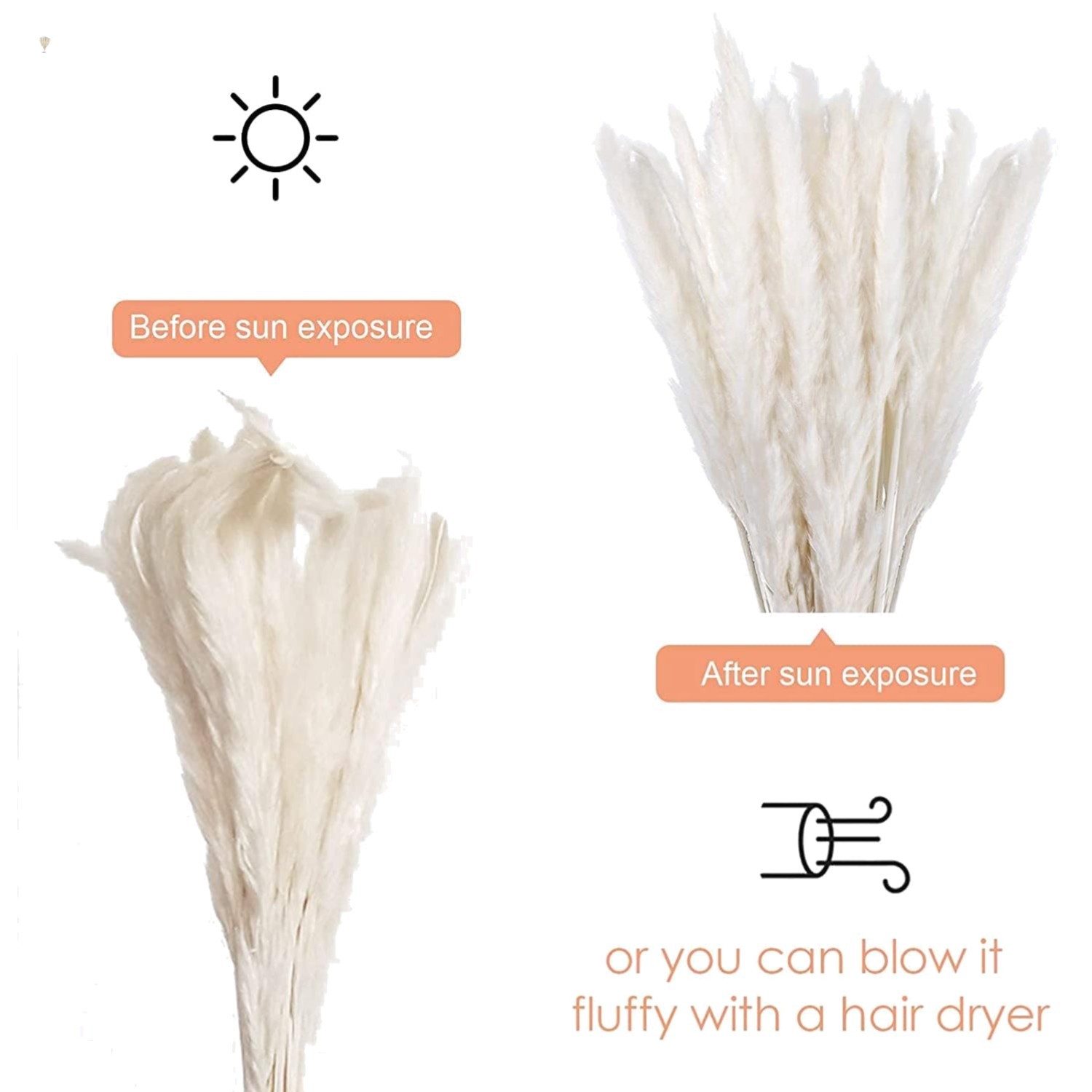 30 Pcs White Pampas Grass ,17 inch/45 cm Natural Dried Pampas Grass Branches …
