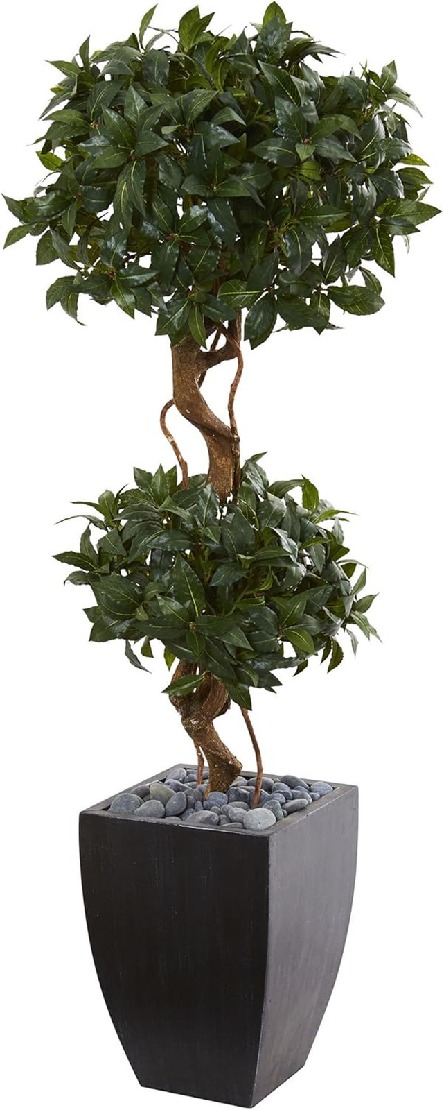 4.5Ft Sweet Bay Double Topiary Tree in Elegant Black Wash Planter