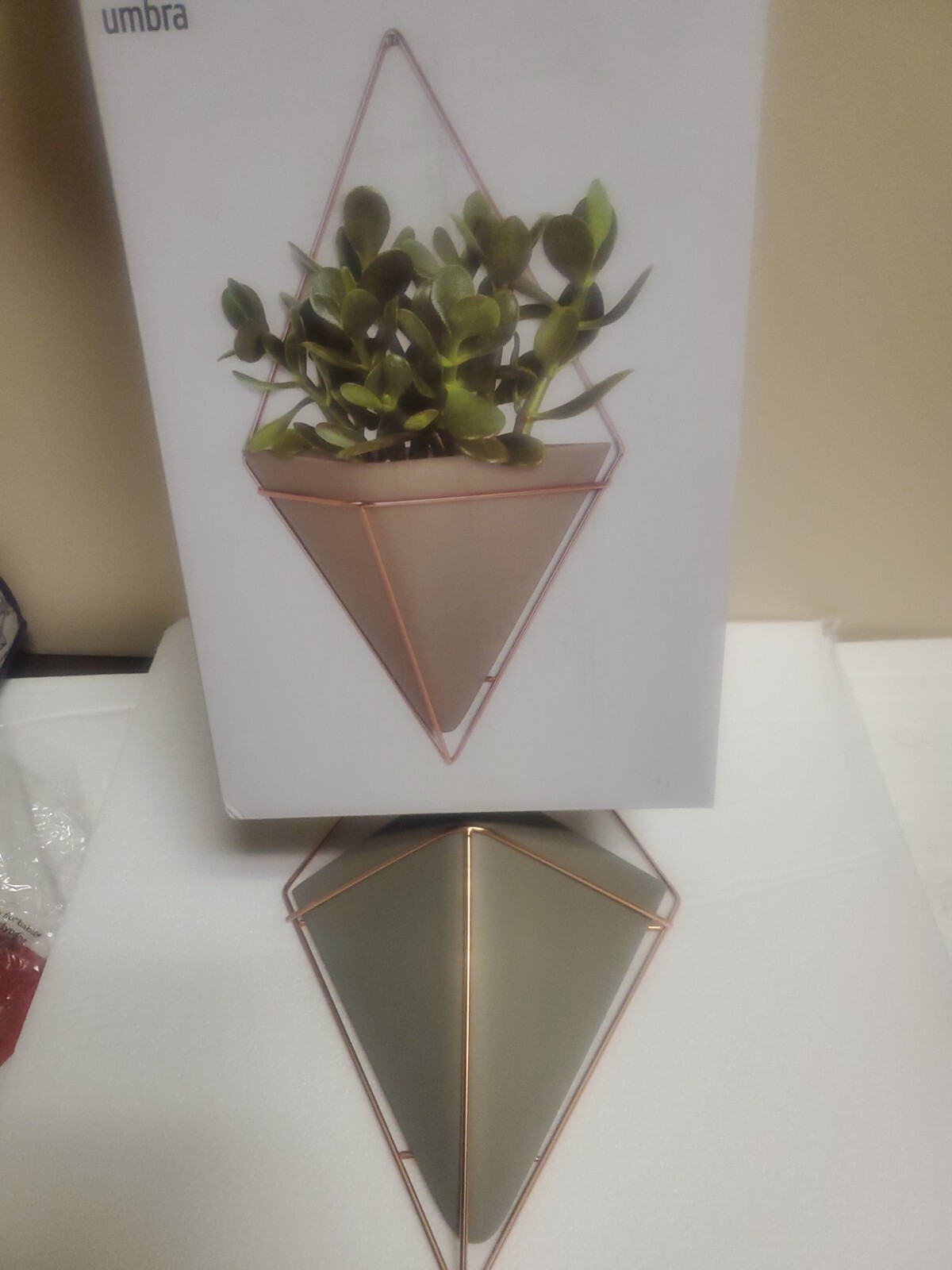 Umbra Trigg Hanging Planter Vase & Geometric Wall Decor Ceramic Container – G…