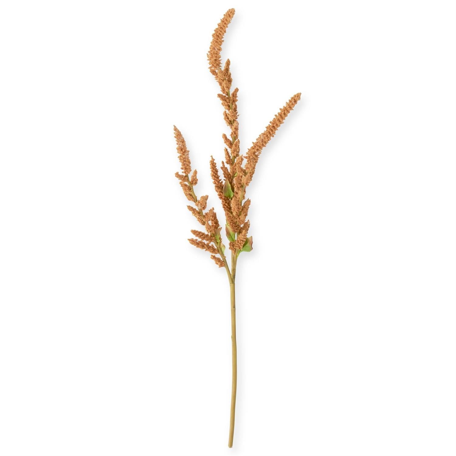 37 Inch Mustard Amaranthus Stem NEW