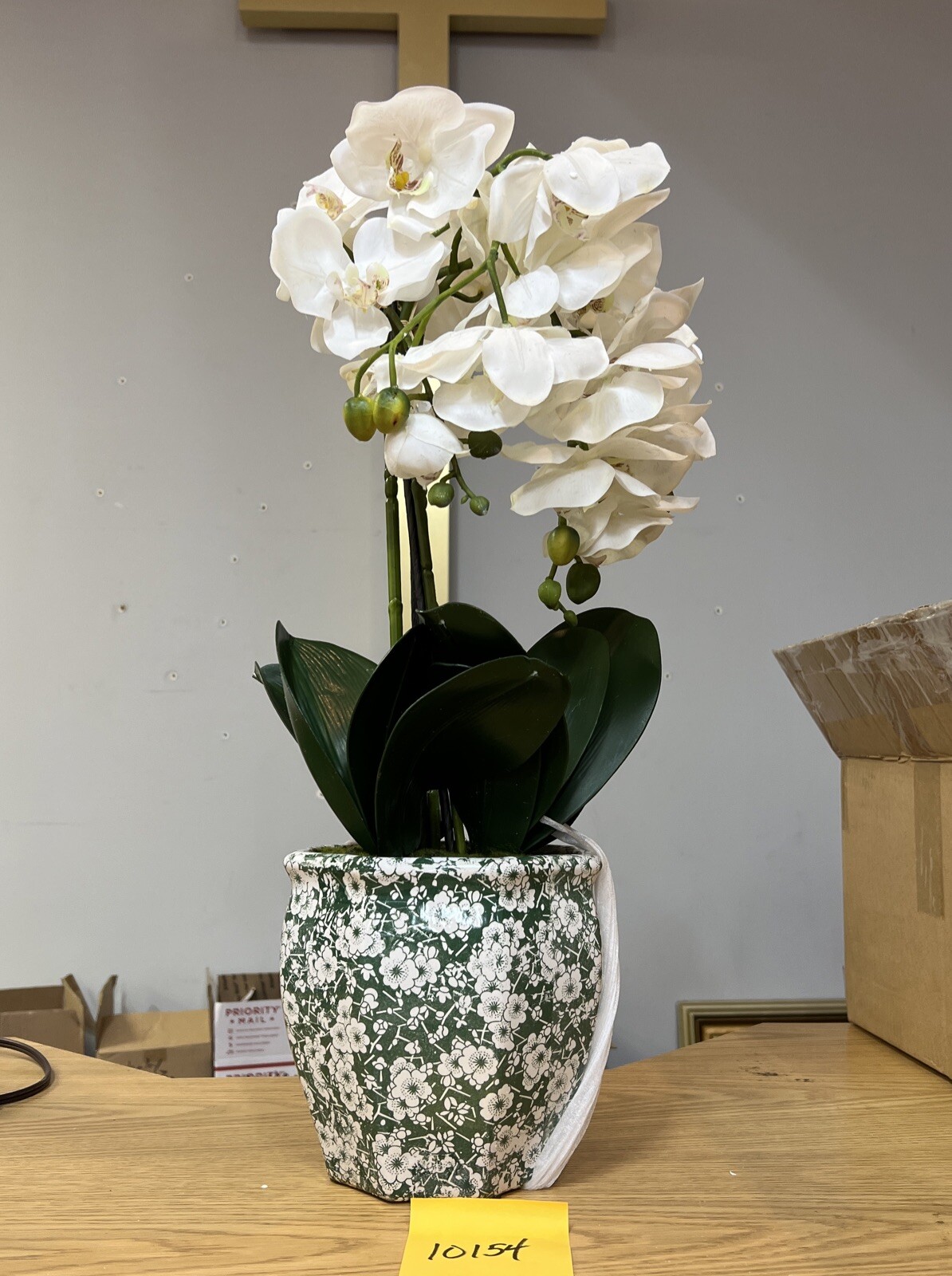 22″ Orchid Green White In Ceramic Pot Planter Valerie Parr Hill