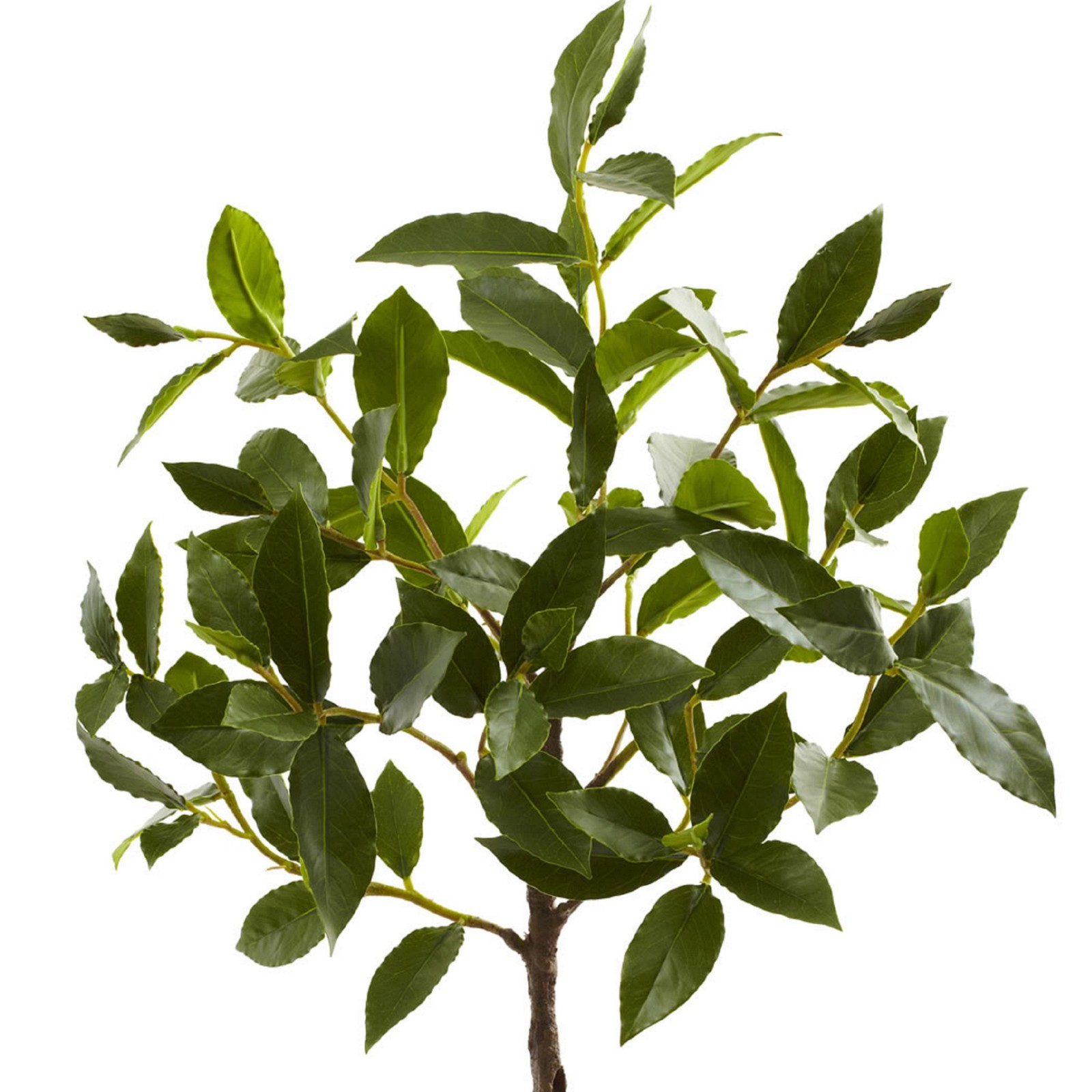 Nearly Natural 29″ Topiary with Decorative Planter in Green