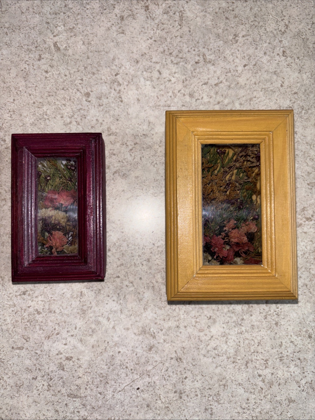 2 Dried Floral Terrarium in Wood Hinged Display Cases Witchy Boho Whimsygoth