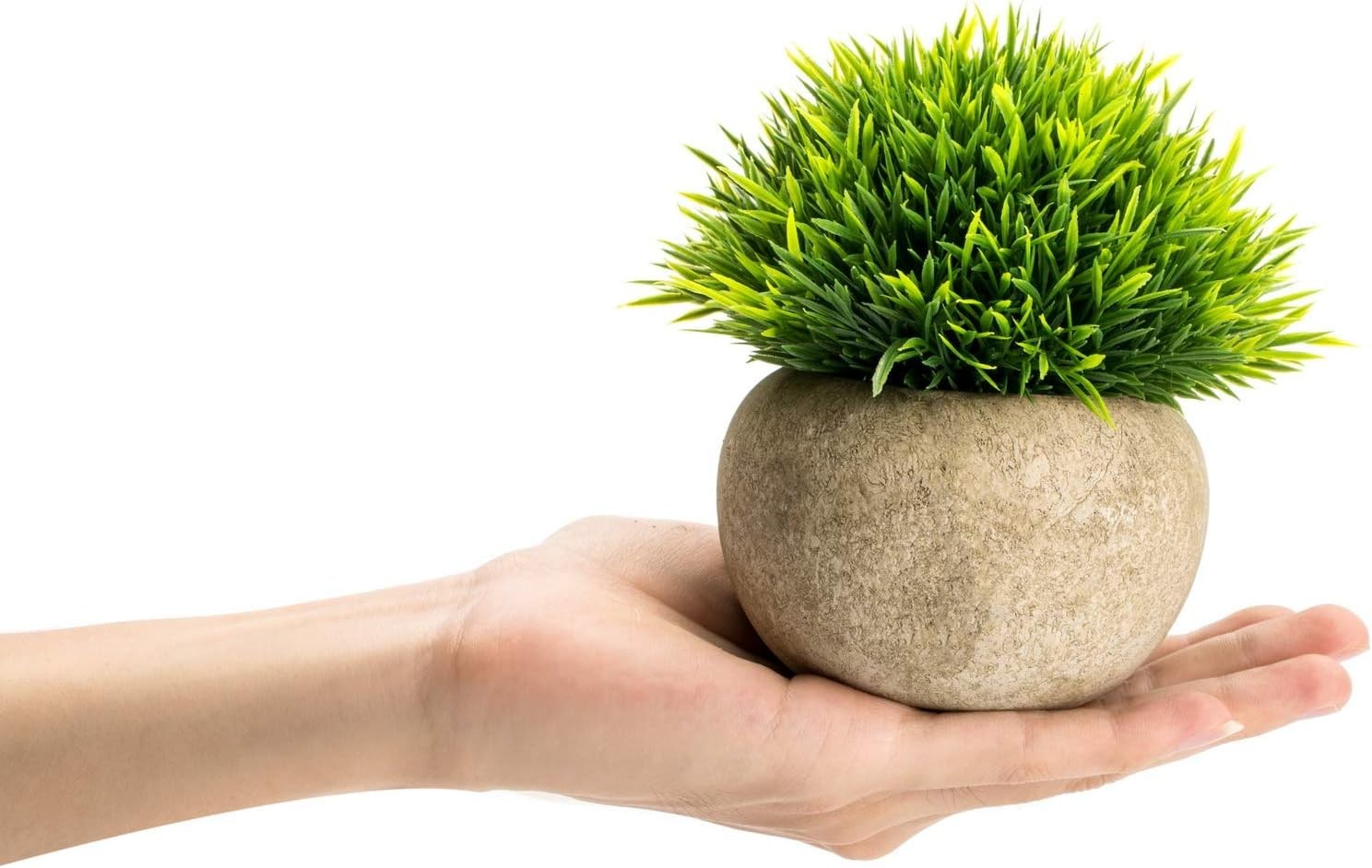 Set of 2 Artificial Boxwood Faux Plant Indoor- Topiary Small Desk Plant Decor