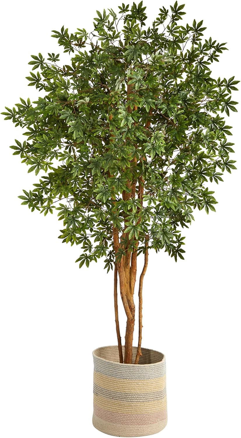 6Ft. Japanese Maple Artificial Tree in Handmade Multicolored Planter