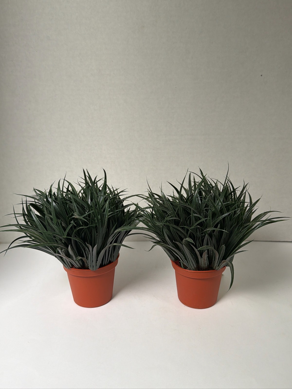 Artificial Potted Grass Plants Greenery Tabletop Decor (Set of 2)