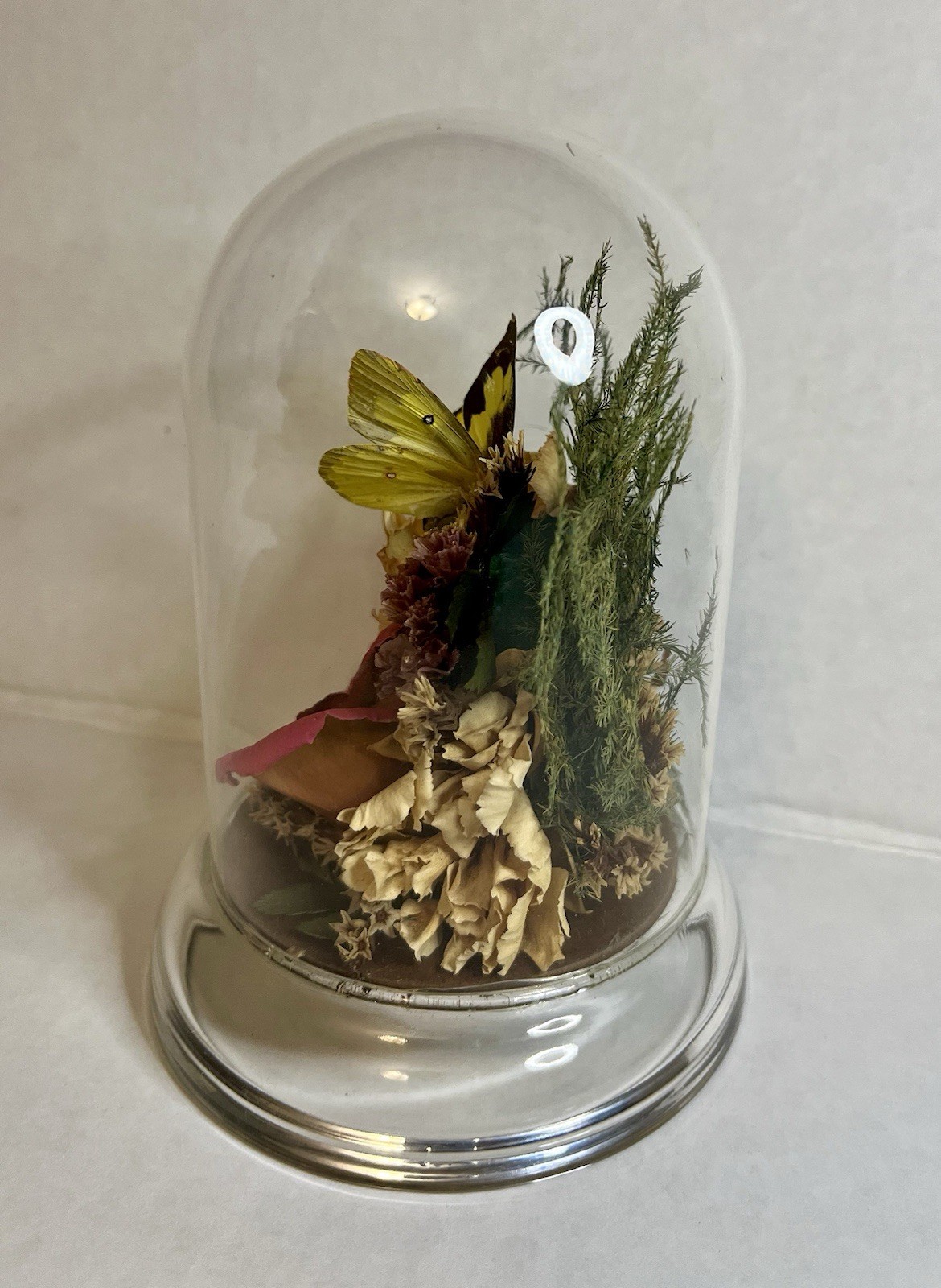 Vintage 90s Natural Expressions Dried Roses Butterfly Glass Terrarium Grannycore