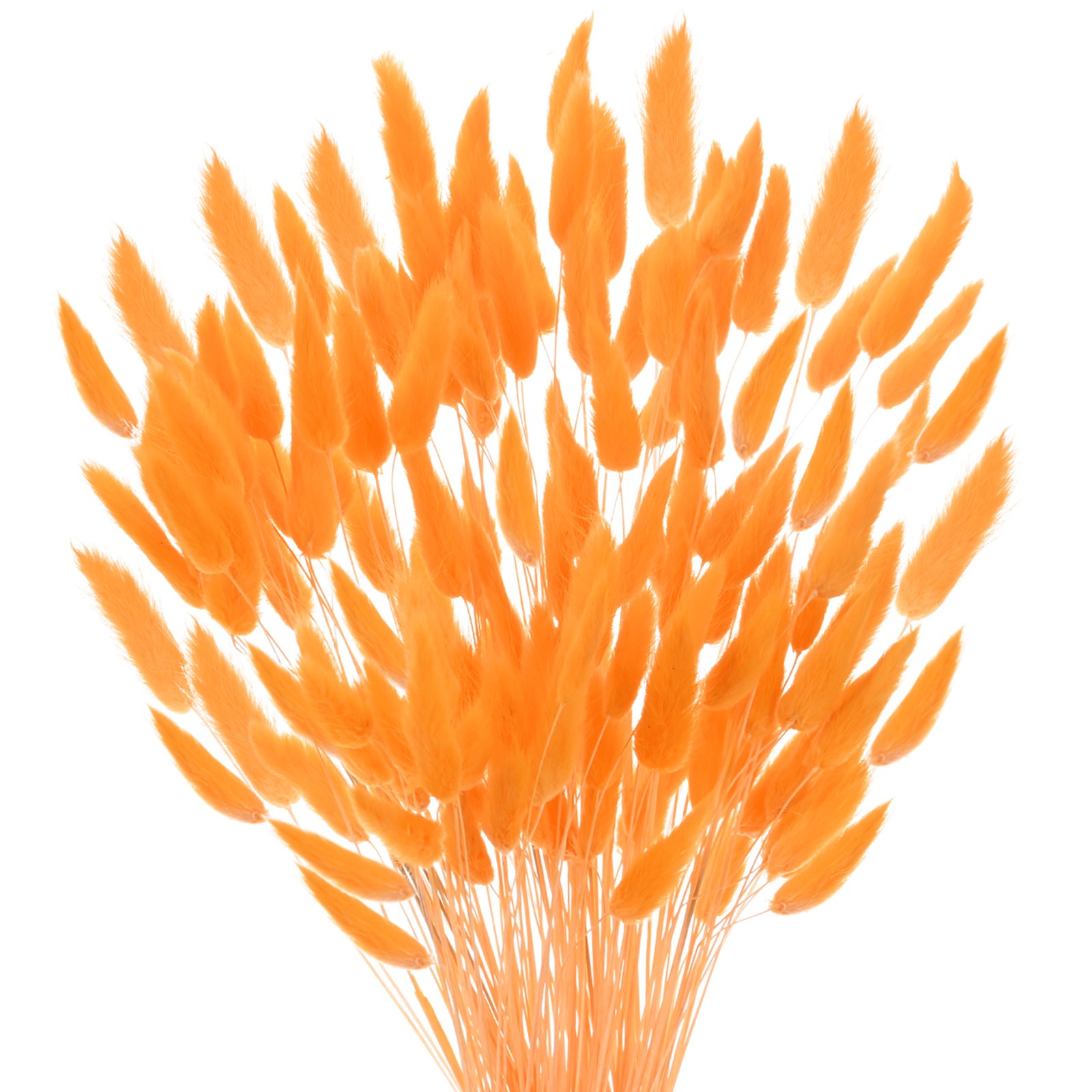 180-Pack Bunny Tails Grass 17 Inch for Home Decor/Wedding [Orange]