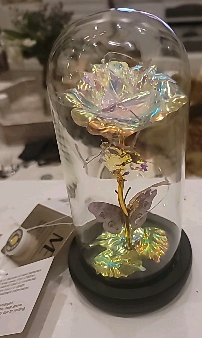 Modern Expressions Light-Up Dome Rose Butterfly Flower LED Walgreens 2024 NWT