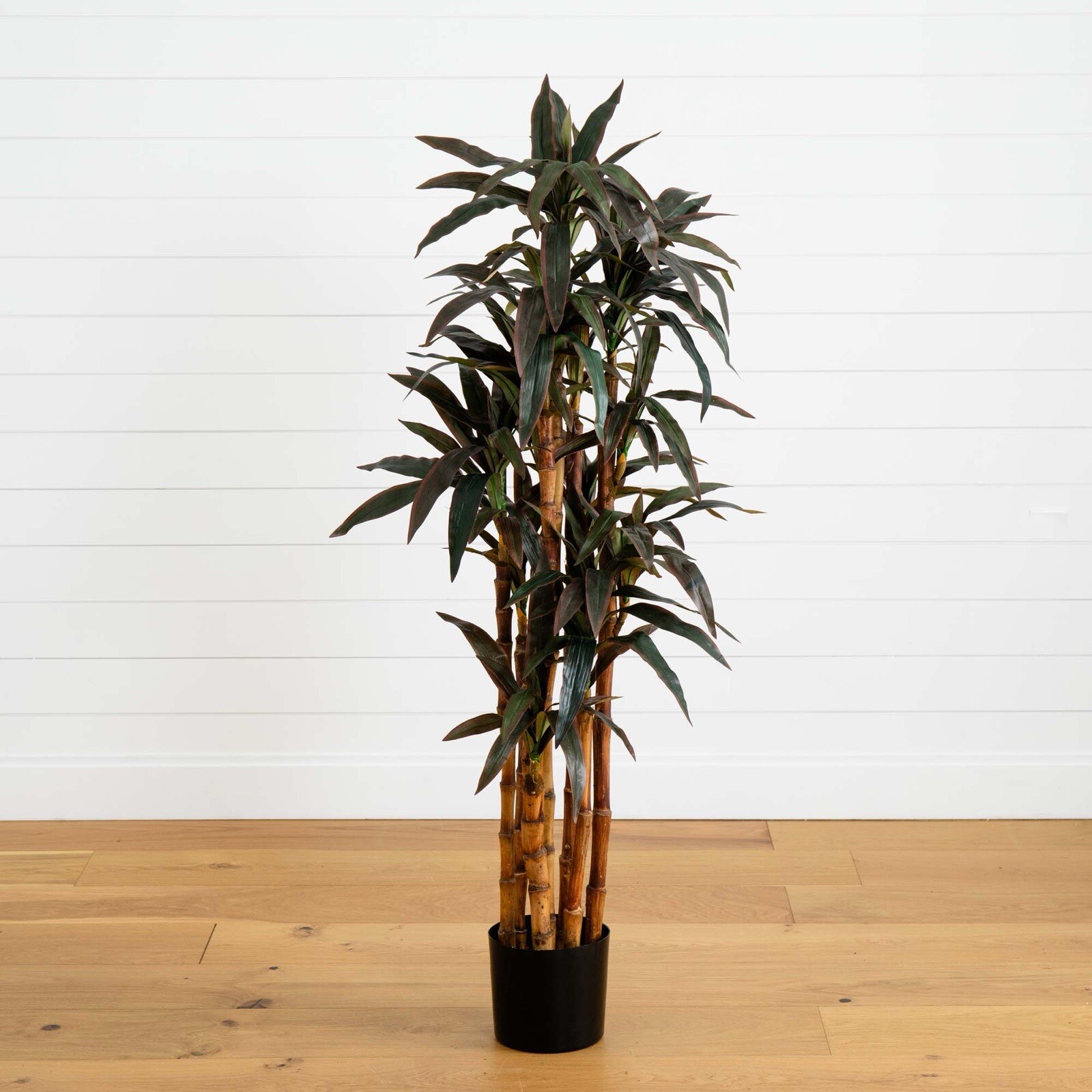 5’ Artificial Dracaena Yucca Tree Home Decor. Retail $212