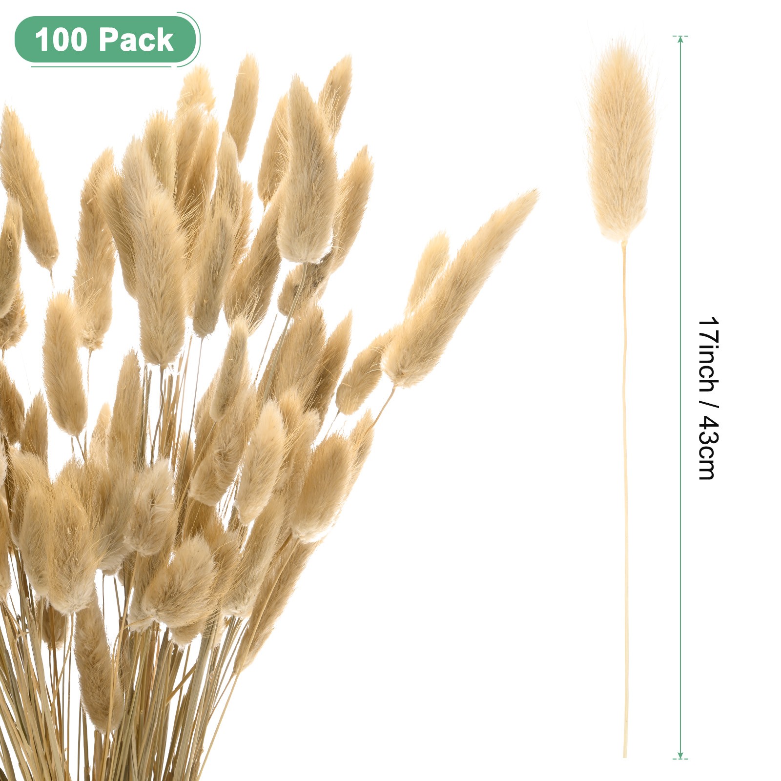 100-Pack Bunny Tails Grass 17 Inch for Home Decor/Wedding [Natural]