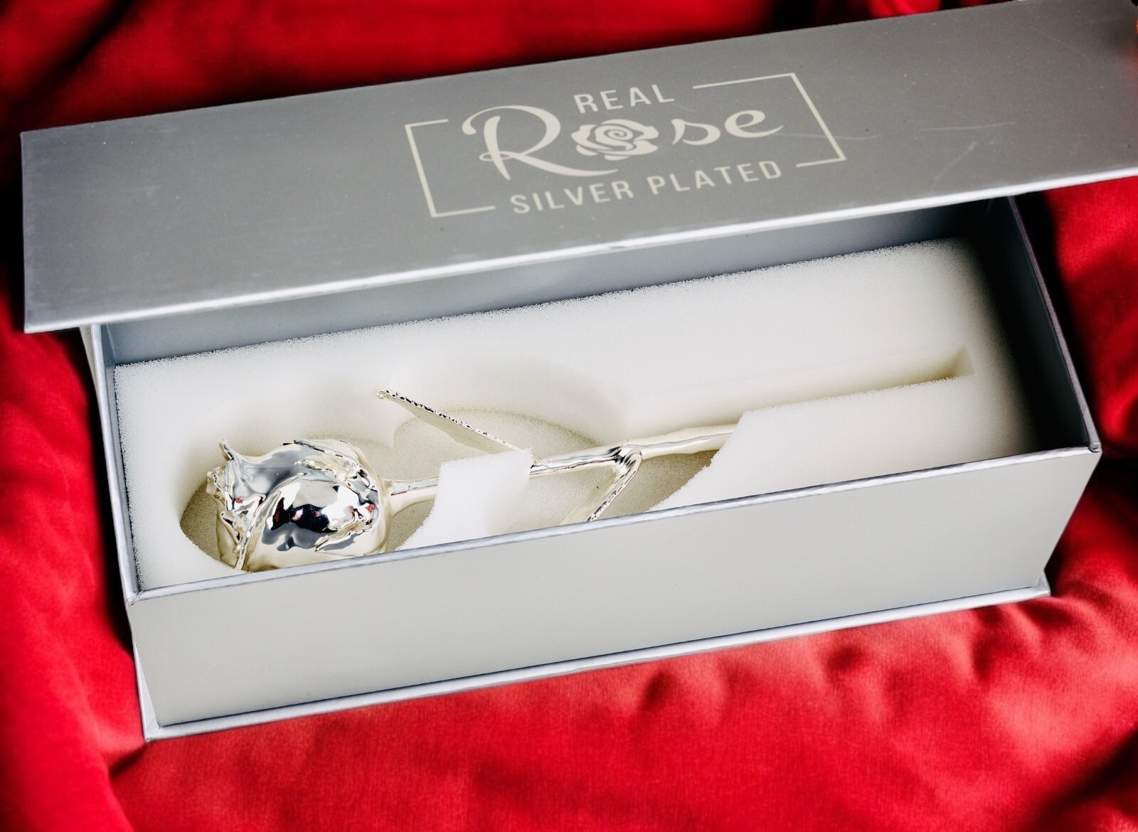 100% Real Rose Plated with Silver, Long Stem, 11.5 Inches.