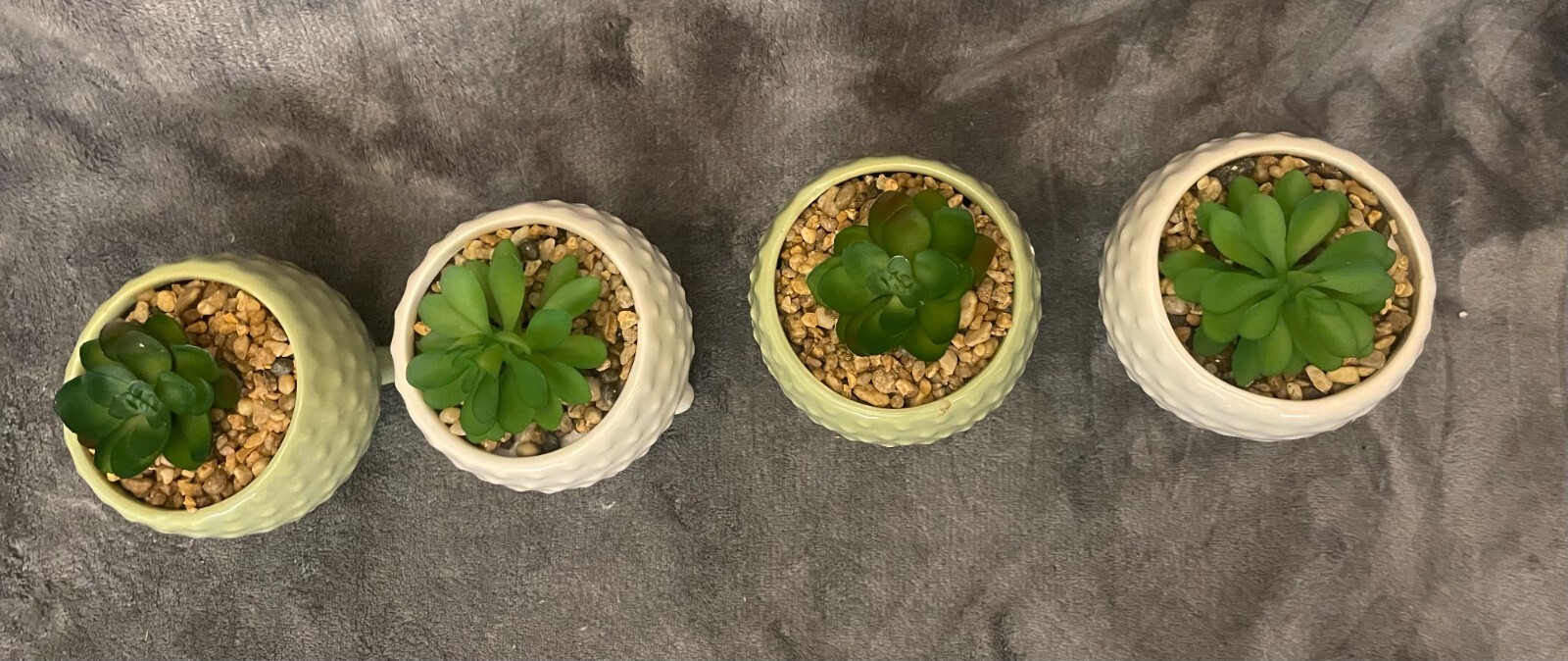 True Living 4 Pack Decorative Office Desk Succulent Arrangement-Open Box
