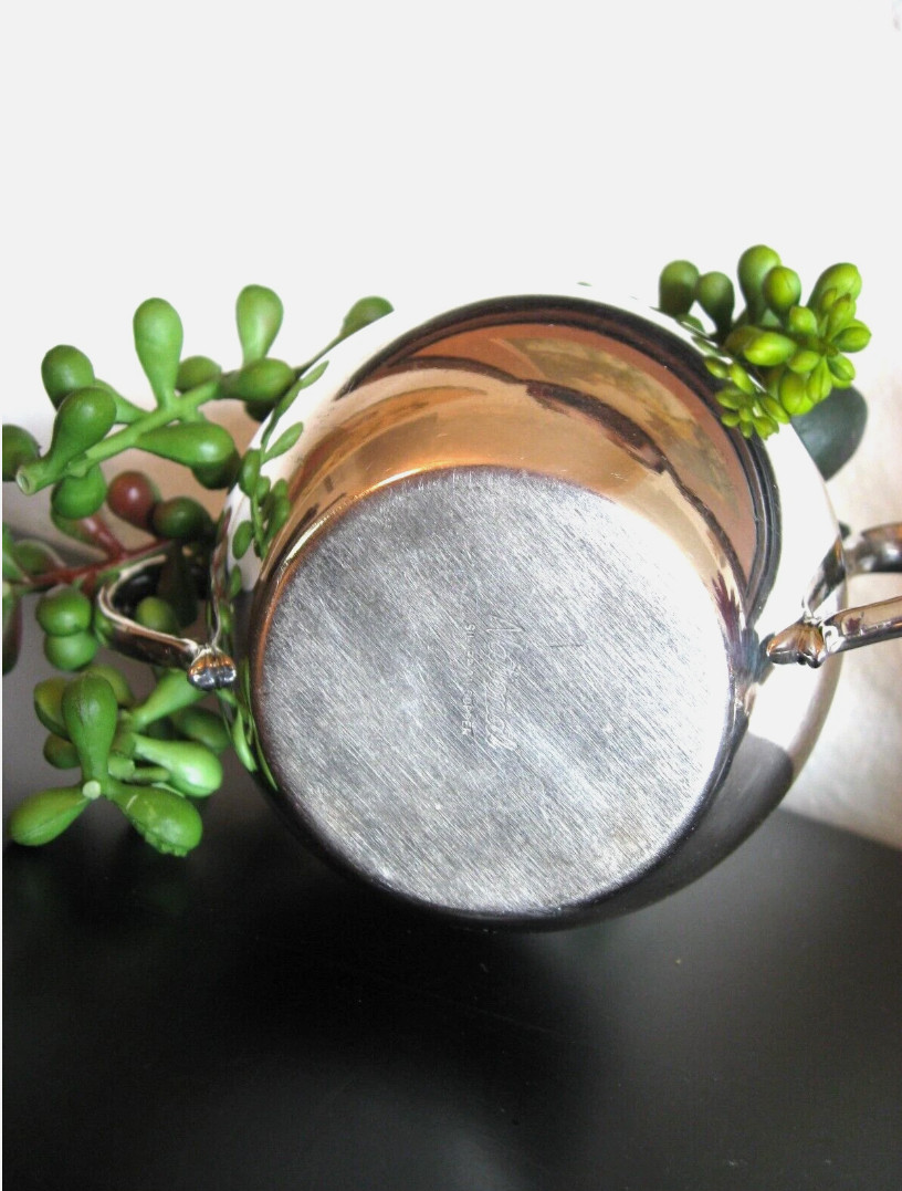 House Plant – Home Decor, Nice, Beautiful, Faux, Fake Sedum MCM Containers