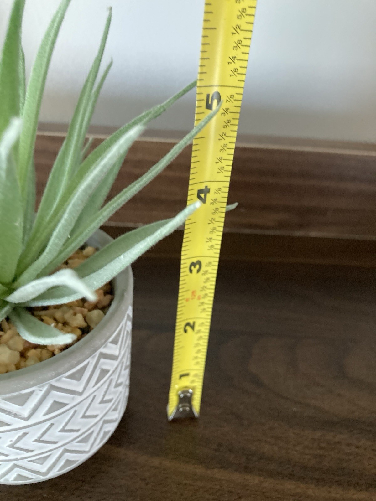 Succulent Tabletop Decor