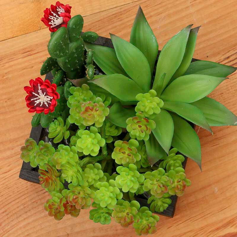 7″ x 6″ Artificial Mixed Succulents in Black Planter Box