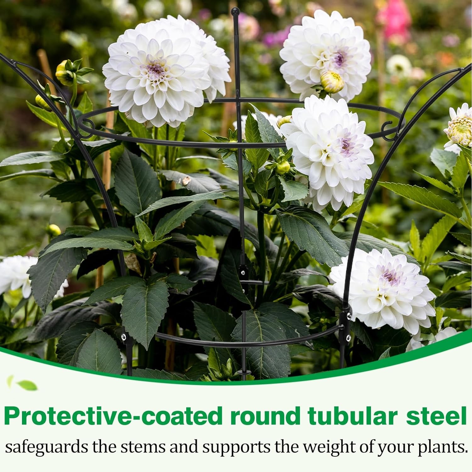 4 Pack Peony Cages & Supports Cages 13″ D x 22.8″ H Heavy Duty Metal Support