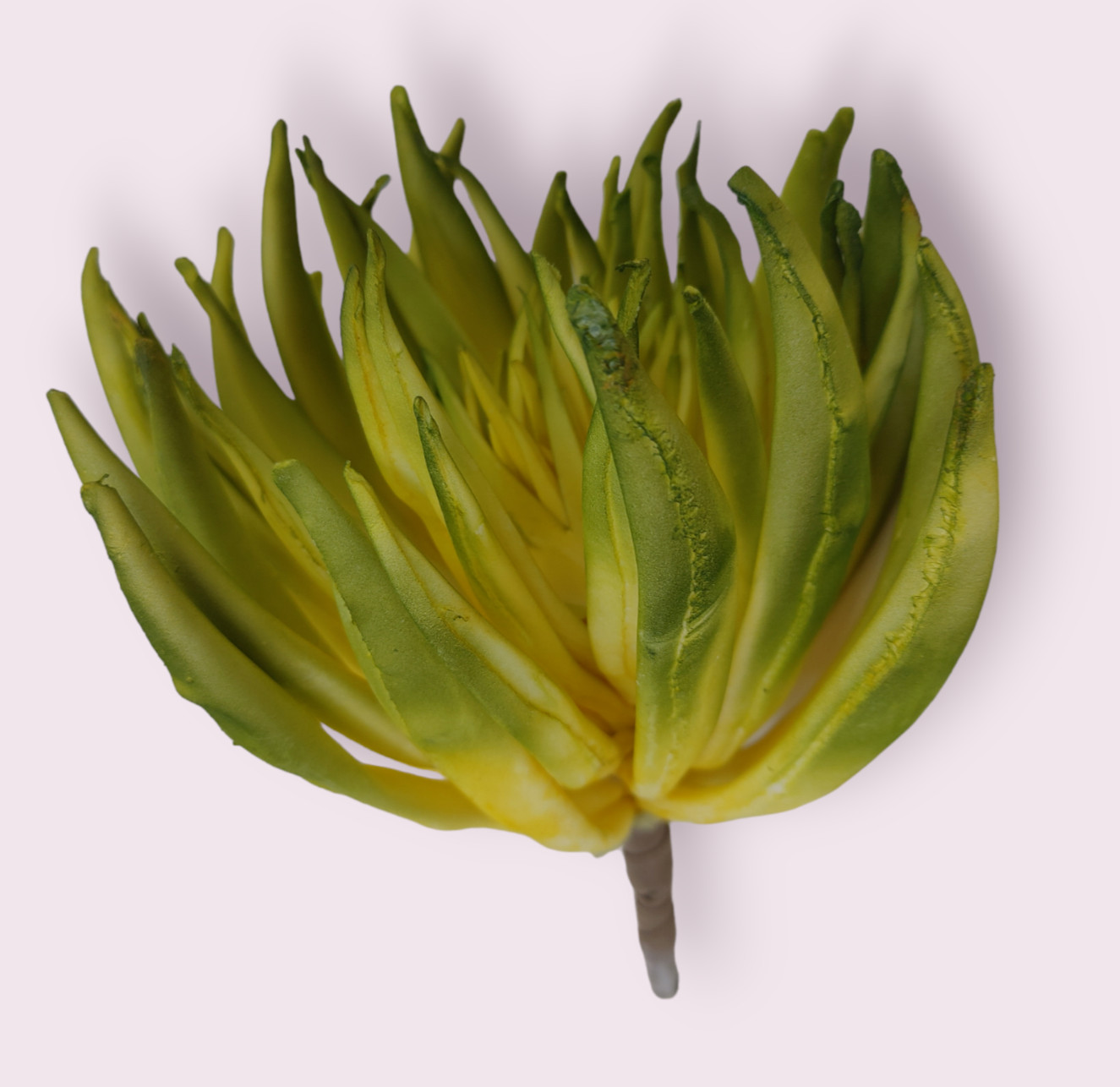 SUPER LIFELIKE ~ 6″ SUCCULENT CACTUS Artificial Plant Unpotted Faux Pick