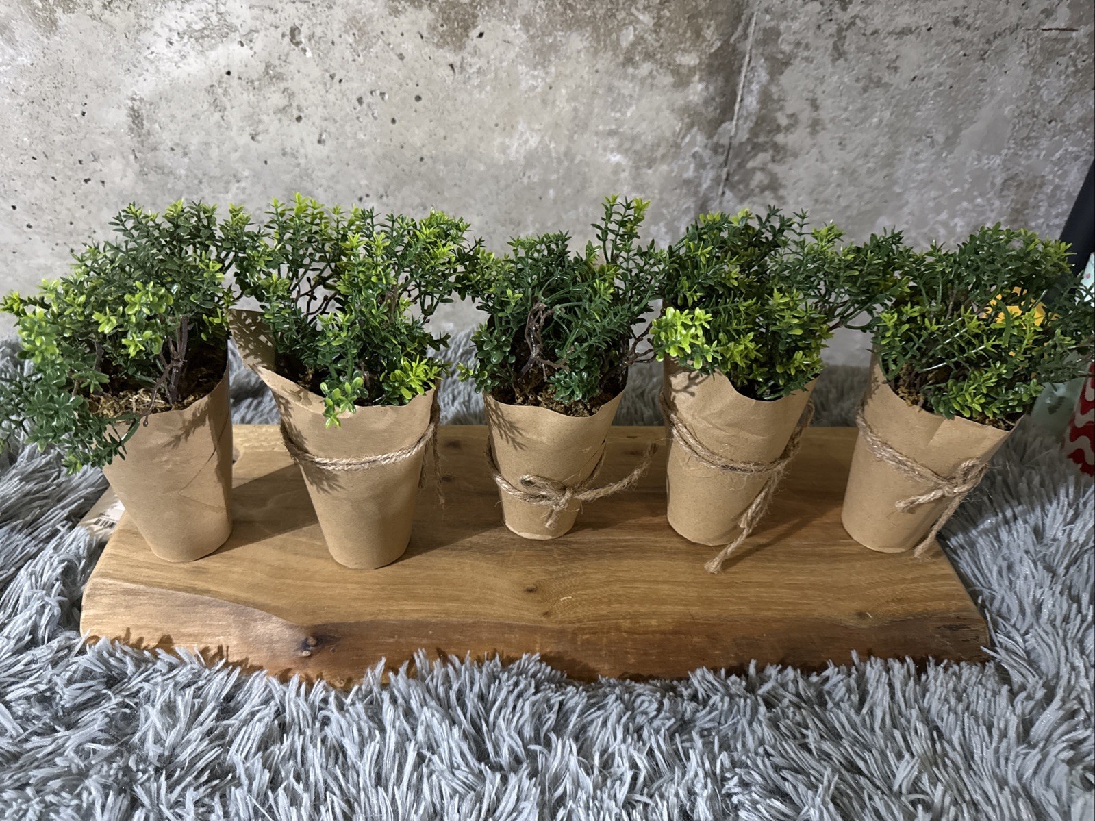 set of 5 faux plants