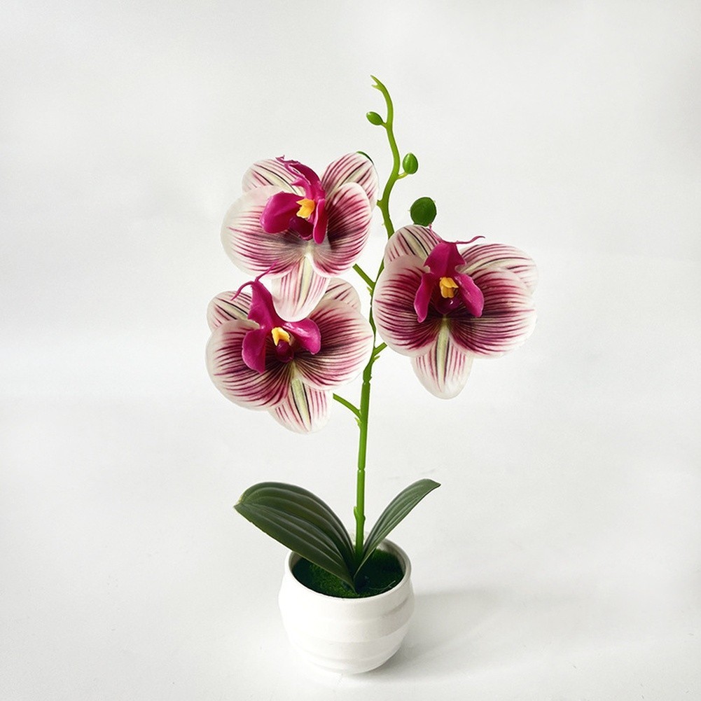 for Nordic Decor Fake Phalaenopsis Orchid in Pot 24cm Height Soft Silicone