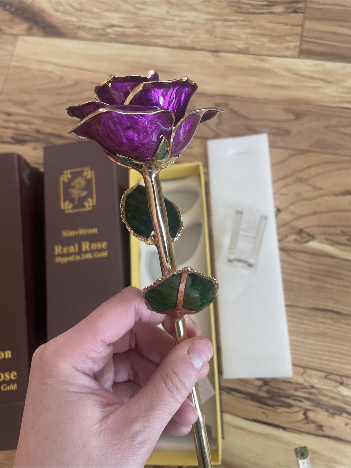 Gold Dipped Infinity Rose Forever Flower Decor, Resin Preserved Real Rose Birthd
