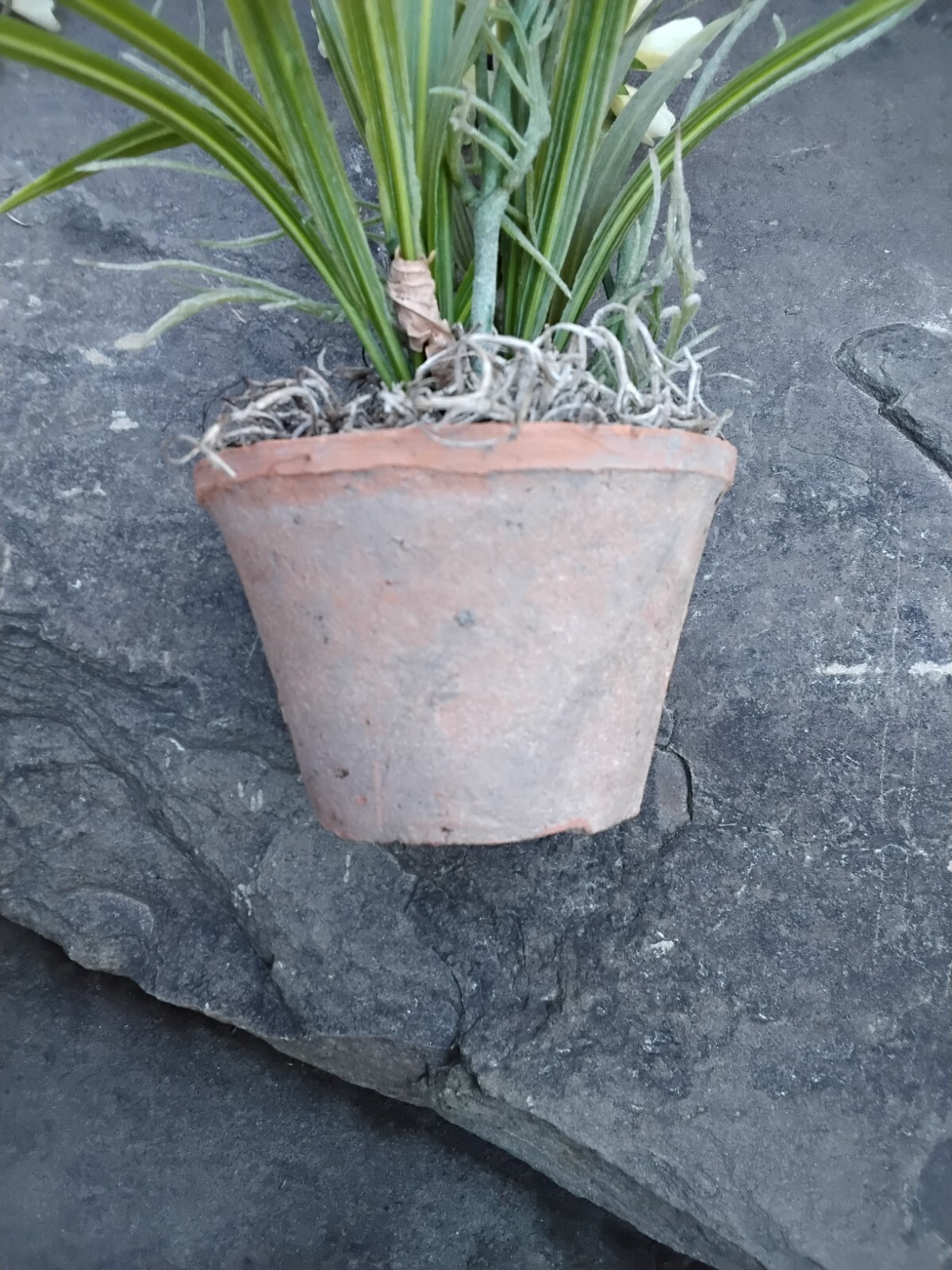 Faux Yellow Spring Flower Plant in Terra Cotta Pot, Daisy, Toplis