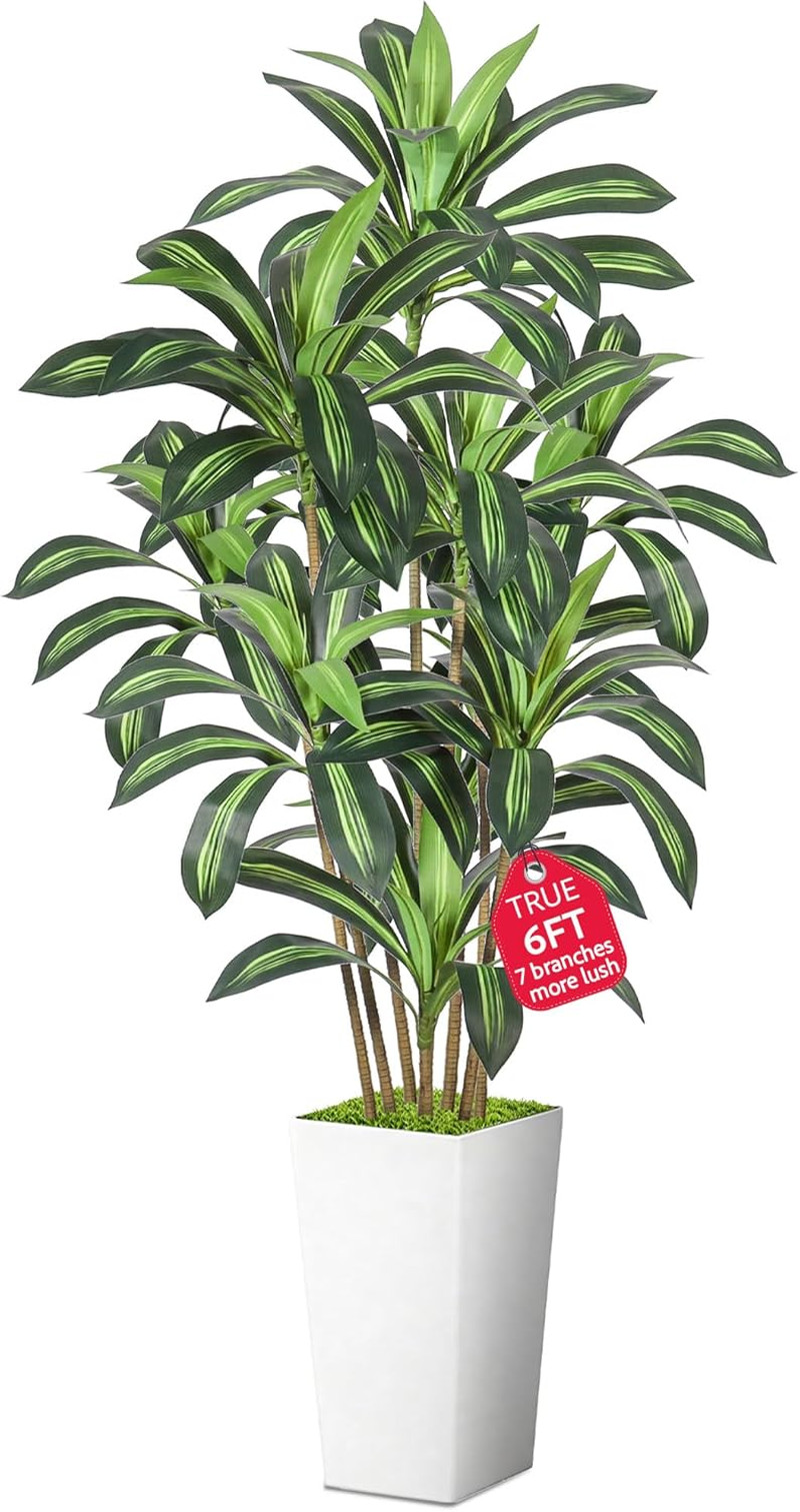 Lifelike 6FT Dracaena Indoor Plant Tree for Home & Office Decor – White Pot