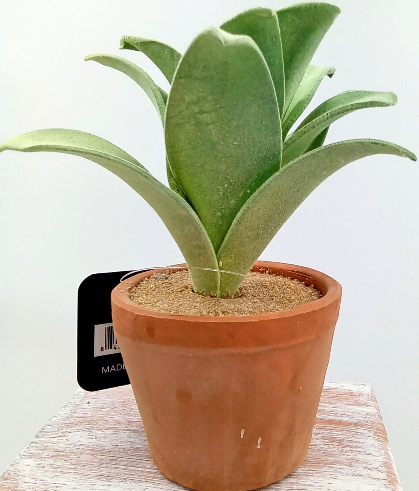 Succulent Clay Pot Planter Artificial Faux Dirt Foam Plastic Green Floral 7×2.5″