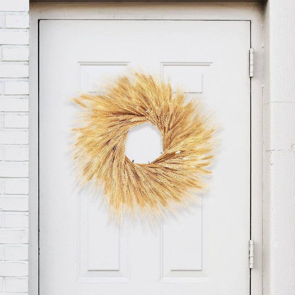 1 In. 200-Pieces Natural Dried Wheat Stalks Yellow Artificial Plant for Home Kit