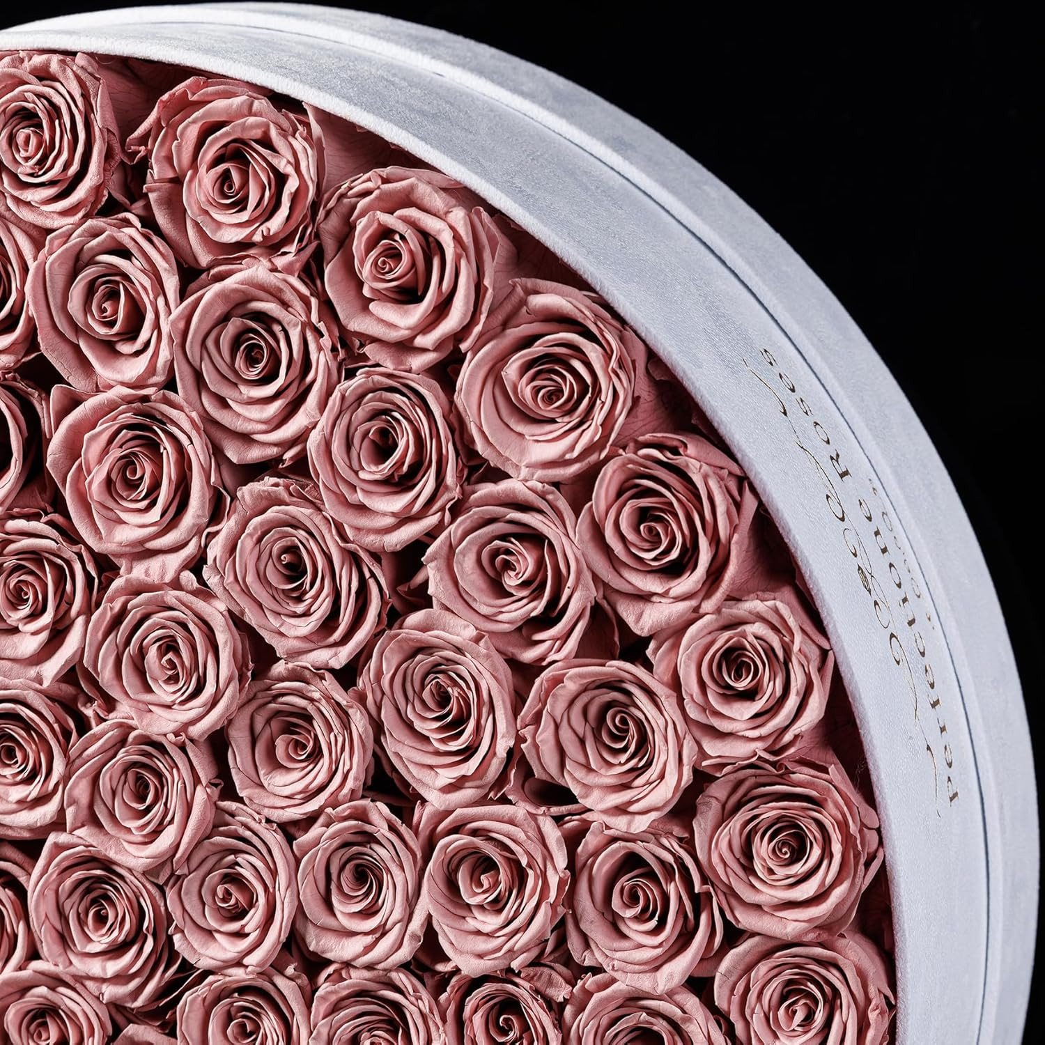 100 Dusty Rose Preserved Roses in Velvet Box – Perfect Gift for Her
