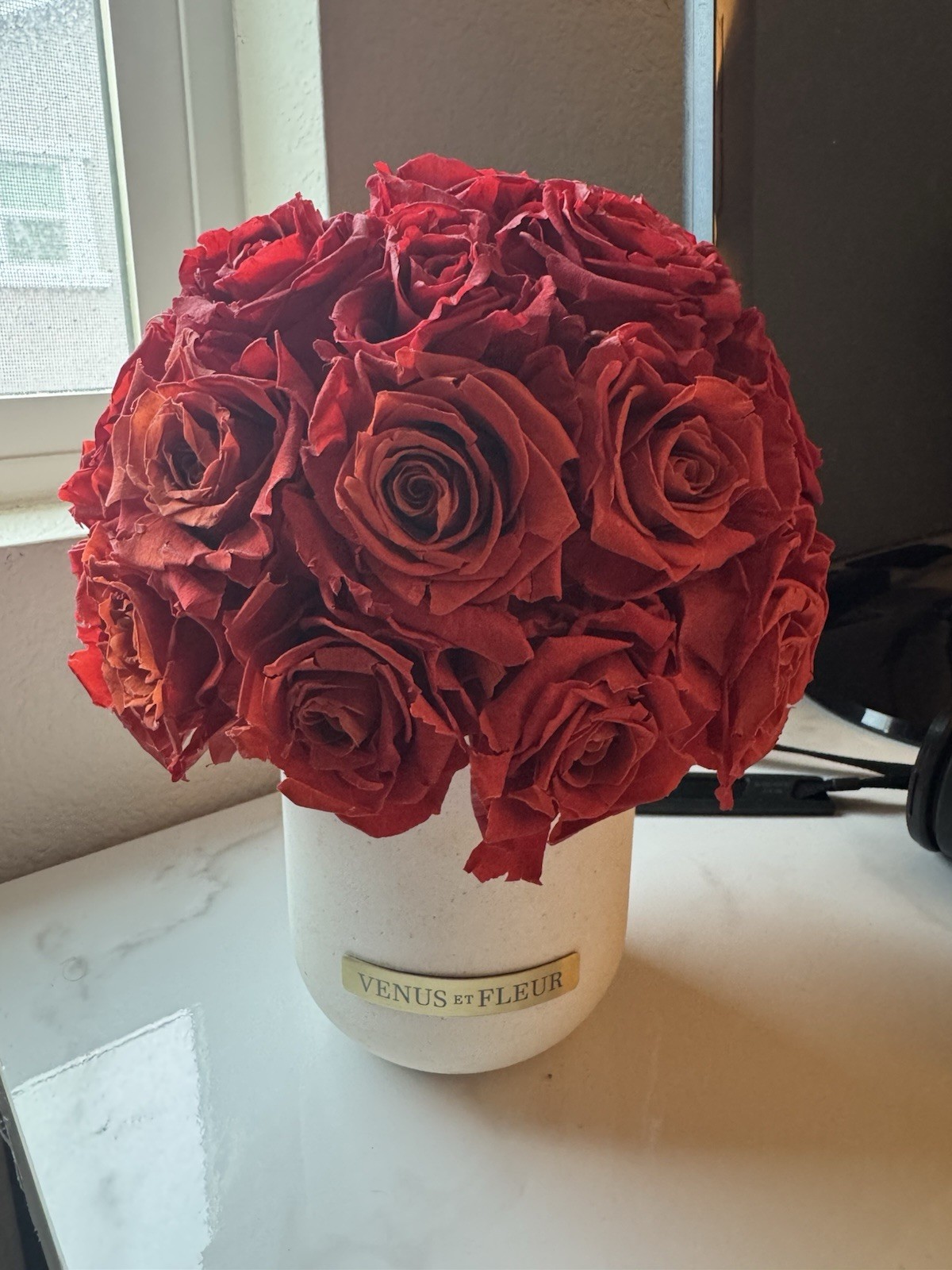 VENUS ET FLEUR Eternity 30 Red Roses With Porcelain Vase