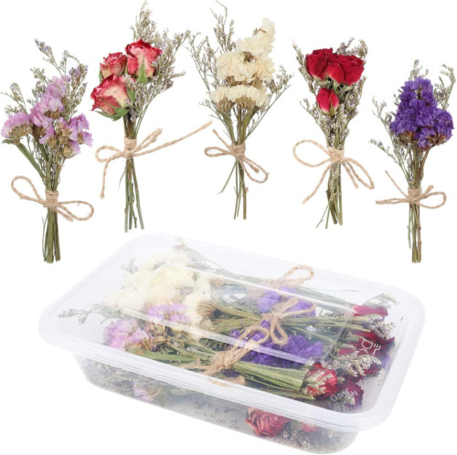 10 Pack Dried Flower Forget Me Not Bouquets Natural Dried Flower with Stem