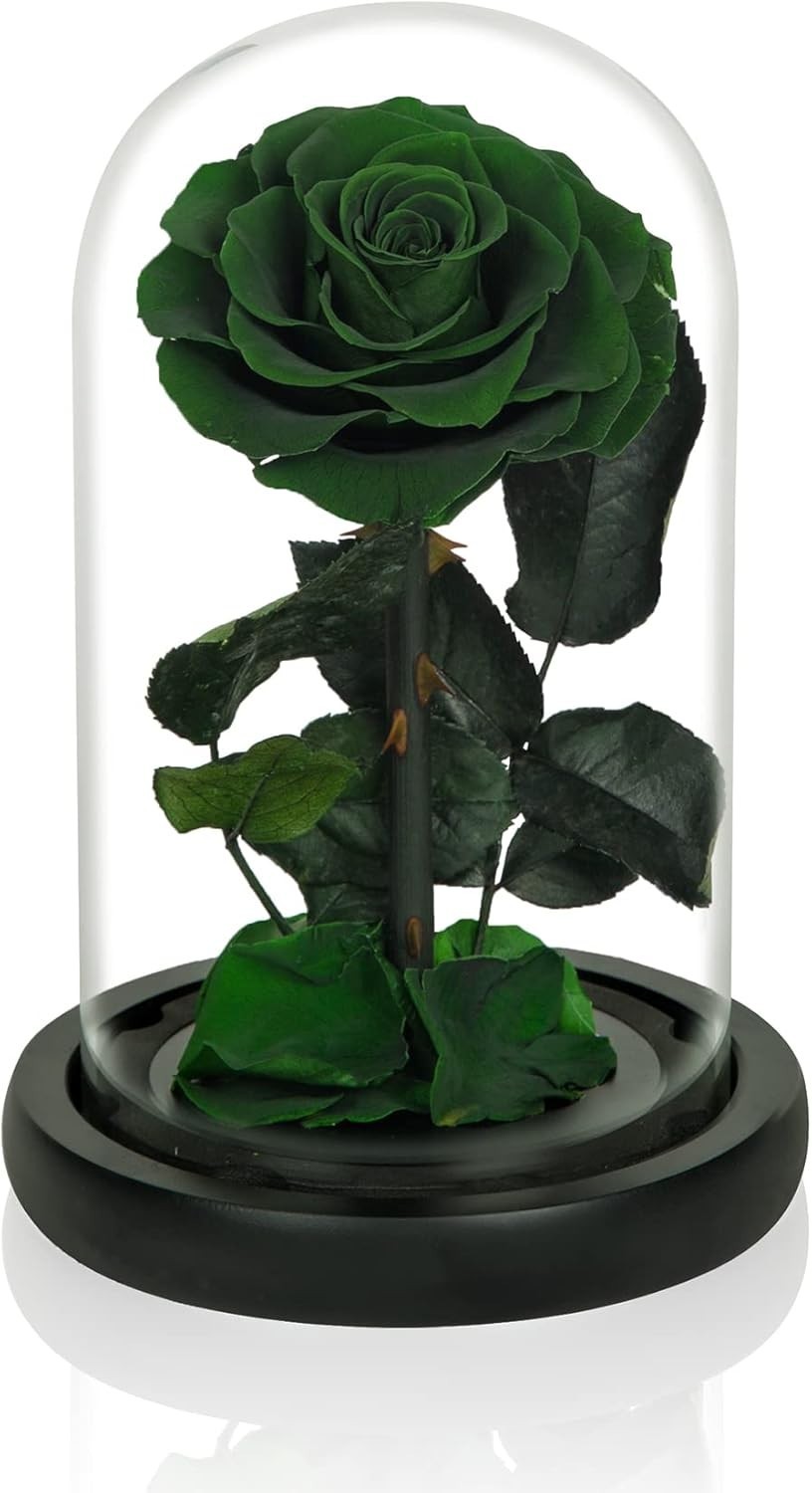 Elegant Handmade Preserved Roses in Glass Dome – Lasting Green Floral Gift