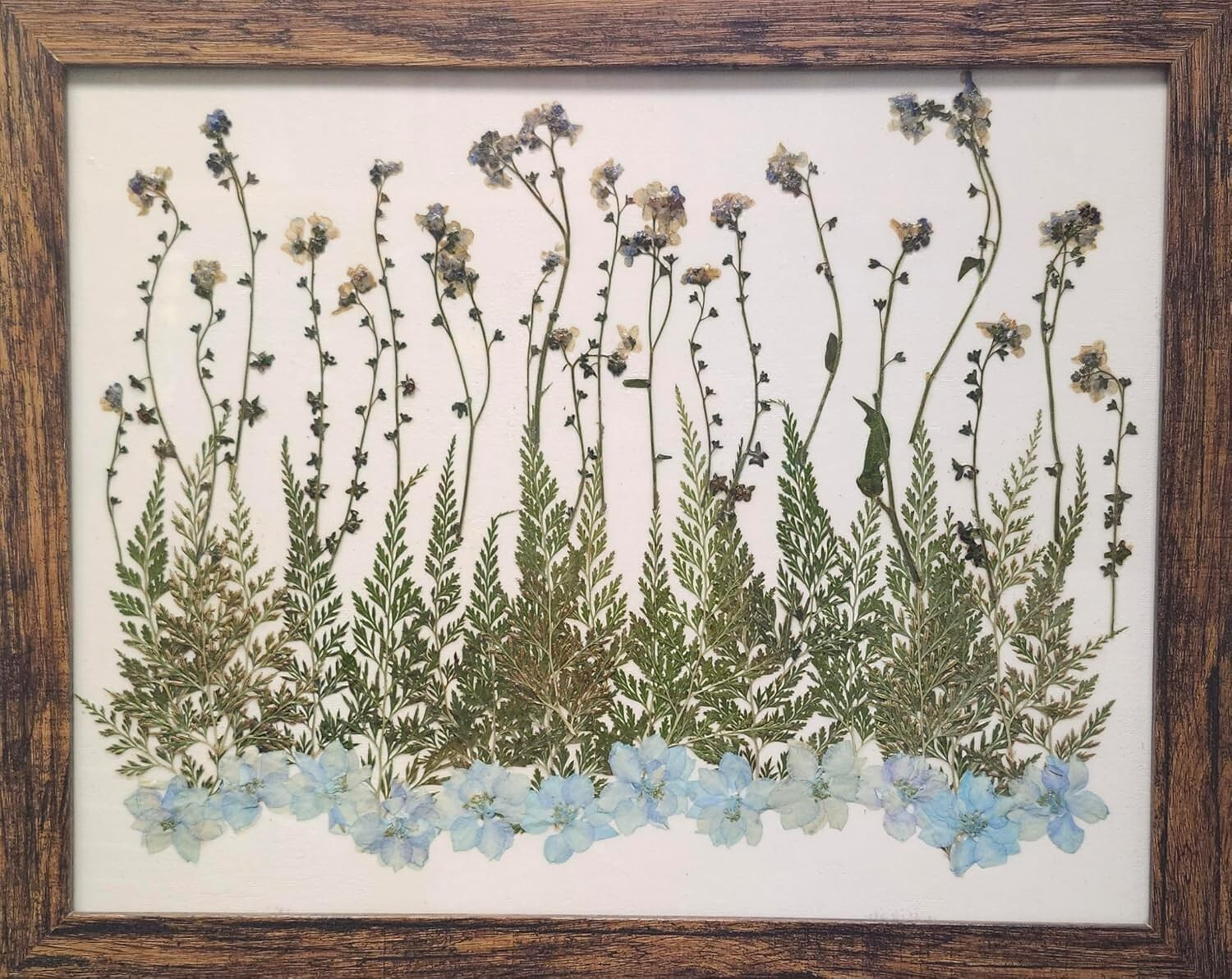 Pressed Flower Art Wall Decor, Rustic Wood Frame,forget me not,larkspur and Fern
