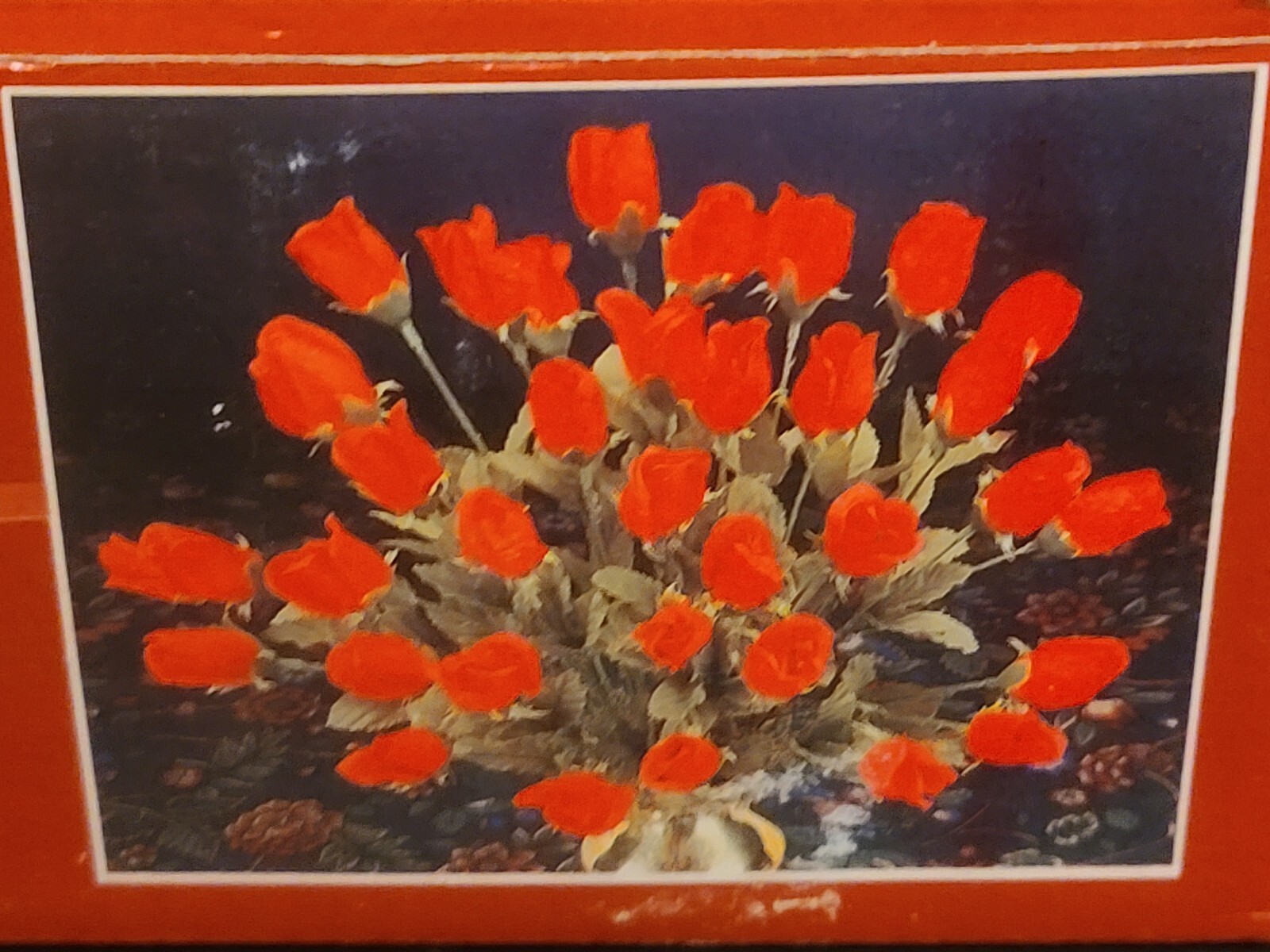 (BOX OF 36) LONG STEMMED Silky Silk Plastic Red Roses