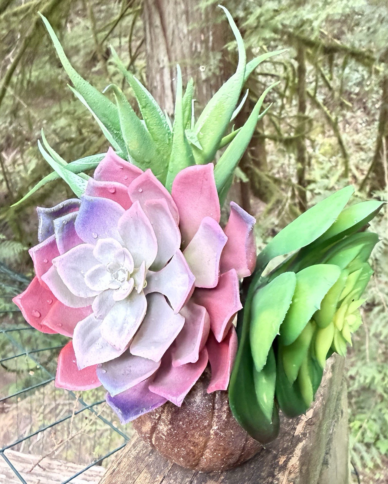 7″ Pink & green Artificial Succulent Arrangement in small 2.75 “ ceramic vase