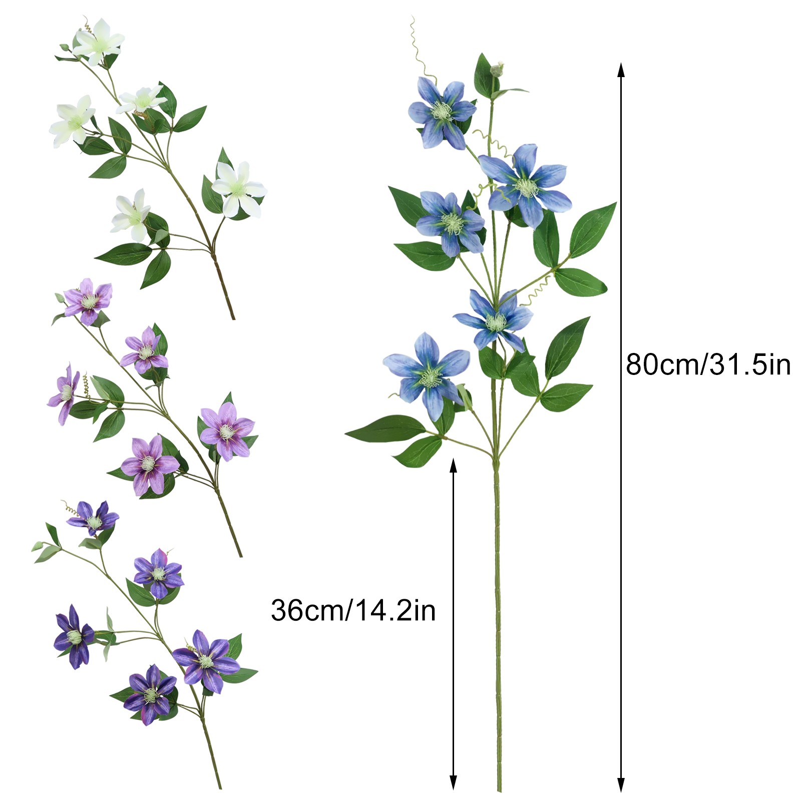 New European-style 5-headed Clematis – Deep Purple 85cm Tall Per Stem HOT