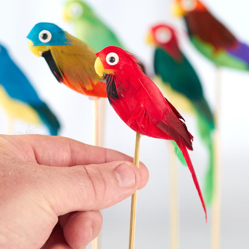 Set of 1 2 Assorted Artificial Parakeet 6-1/2″ Picks