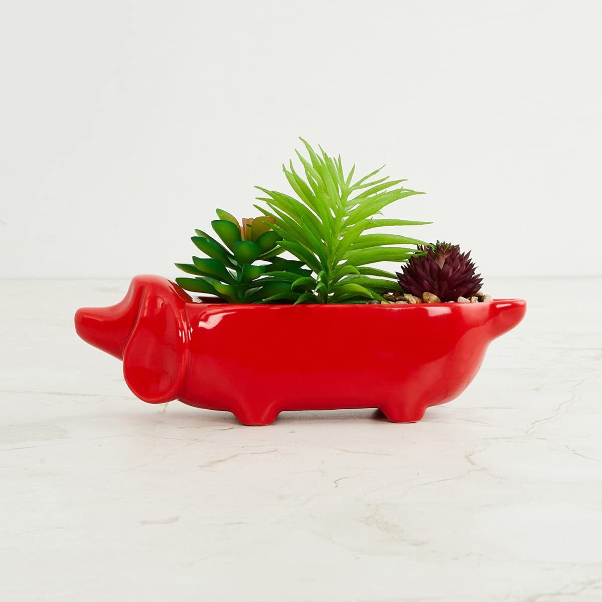 Home Centre Garnet Elsa Dog With Succulent Plant For Decoration