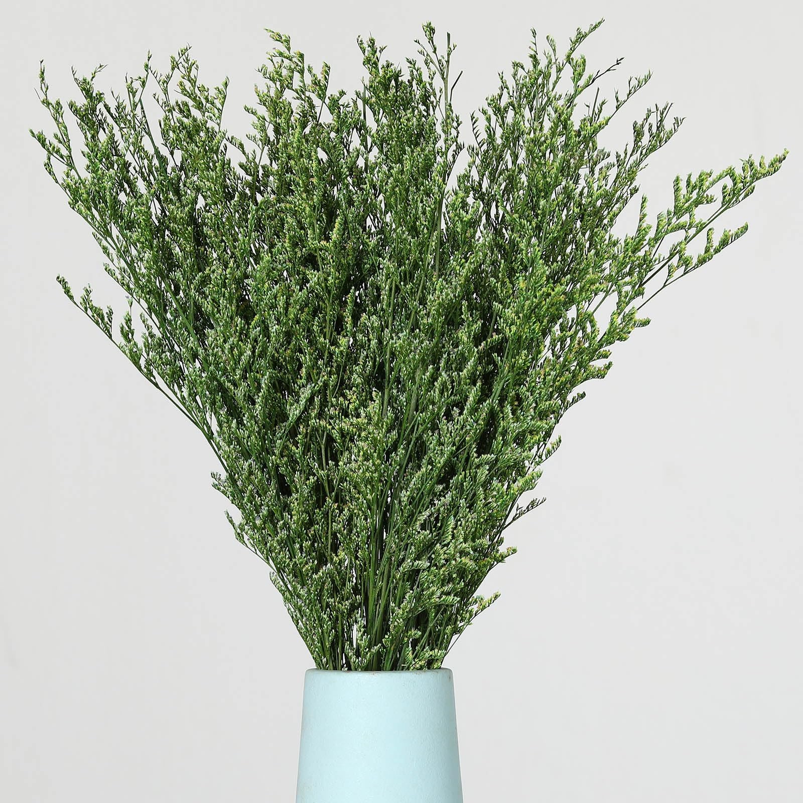 Dried Flowers Bouquet, Dry Caspia Flower Bundle, Floral Lavender, Babys Breat…