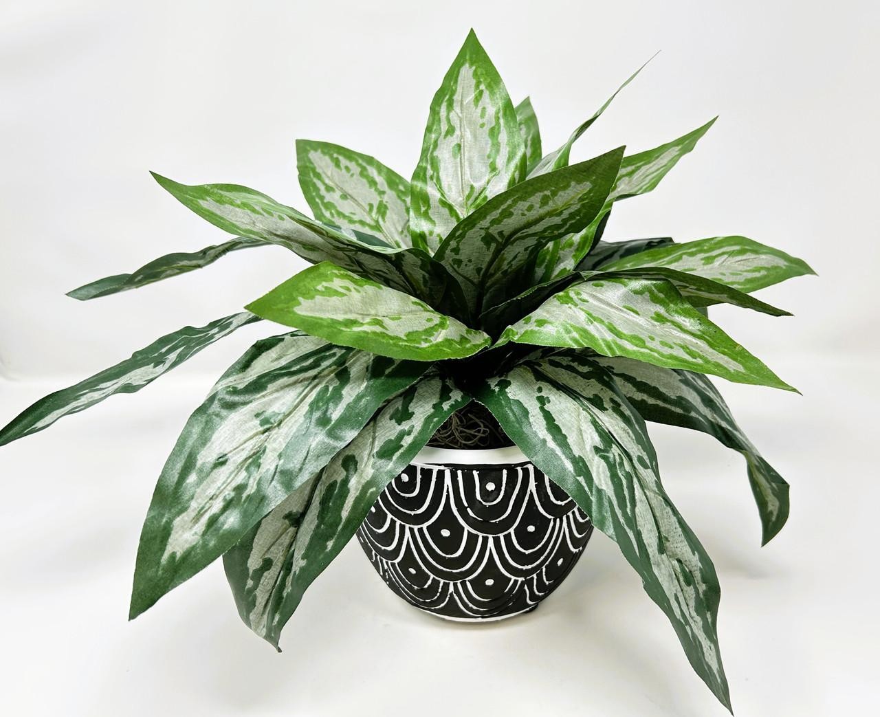 Silk Silver King SWORD plant in Black Ceramic Pot, handmade original by Lower Fo