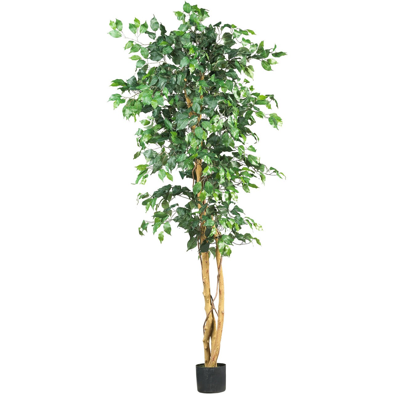 6′ ARTIFICIAL FAKE SILK FICUS TREE ~ REALISTIC ~ HIGH QUALITY