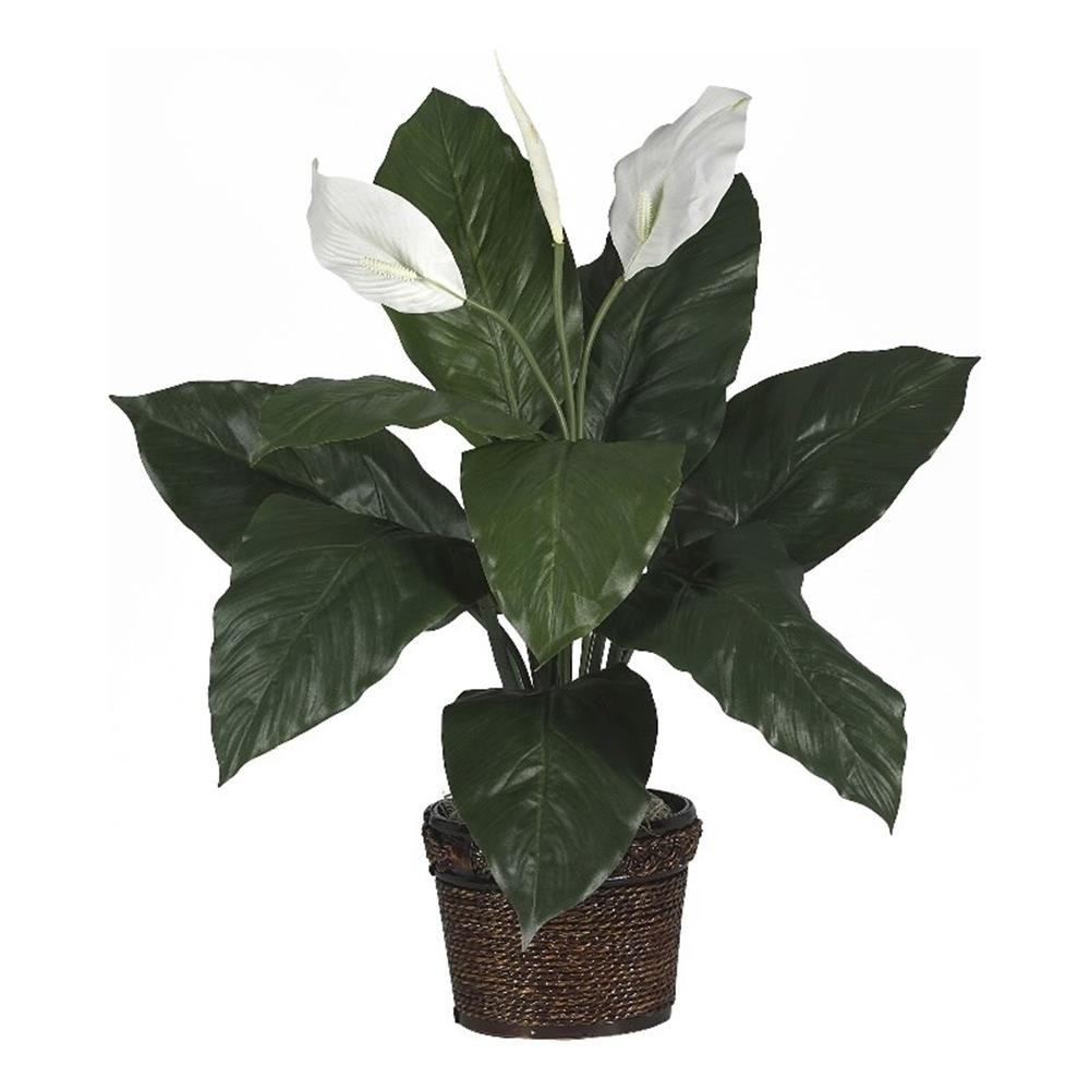 Nearly Natural Spathiphyllum with Wicker Silk Plant in Green