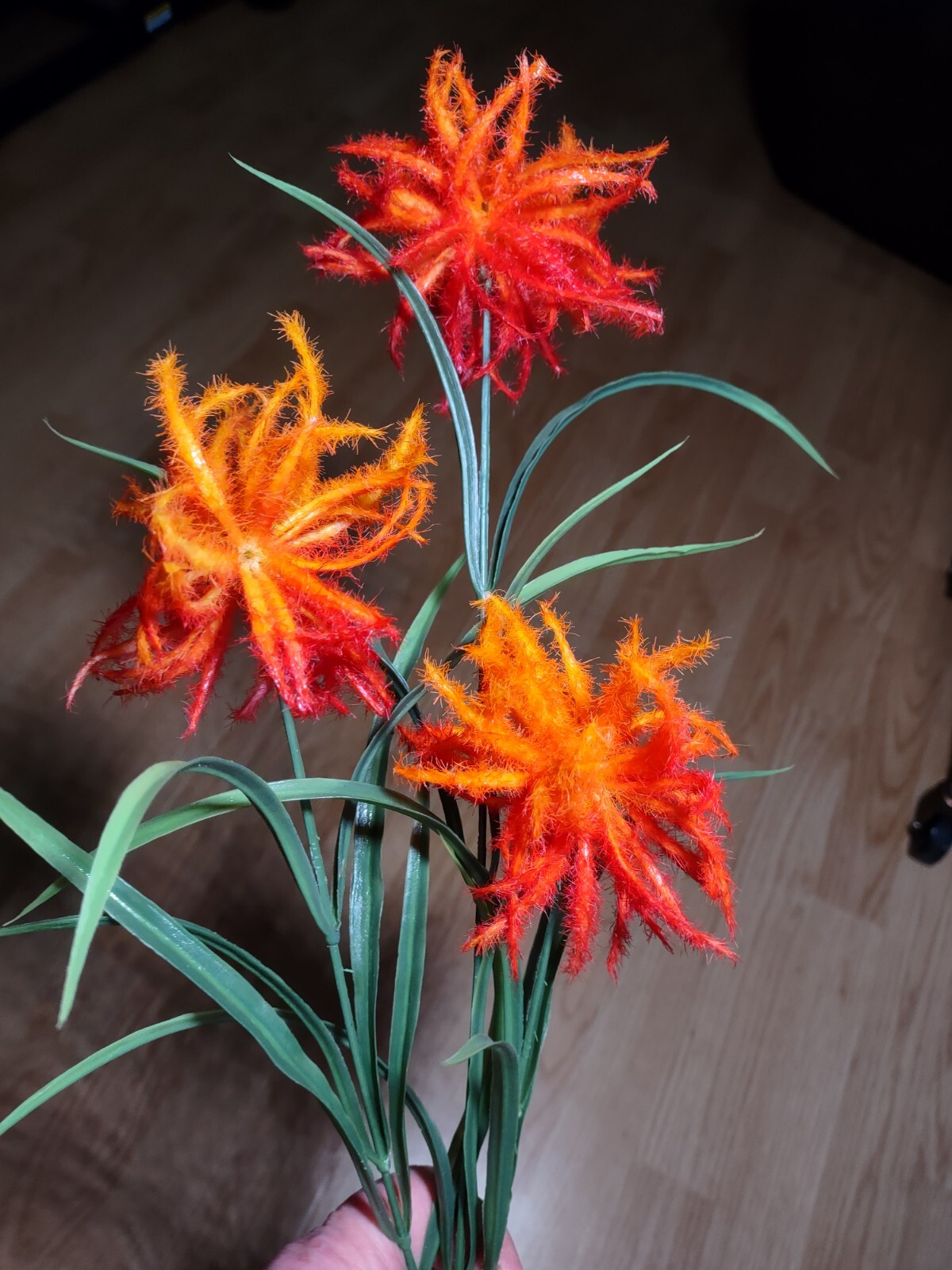 Wildflower tropical floral stem. Hawaiian Flowers. Tropical Flowers