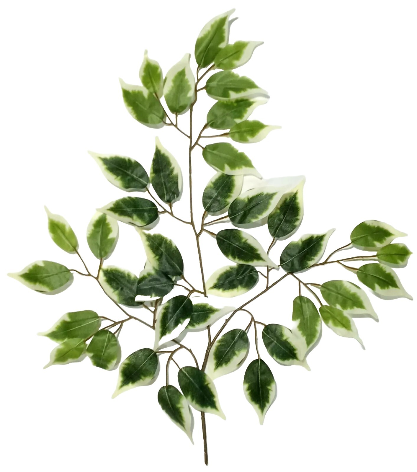 (6-Pack) Variegated Ficus Leaf 23″ Spray Filler Background Foliage Home Decor US