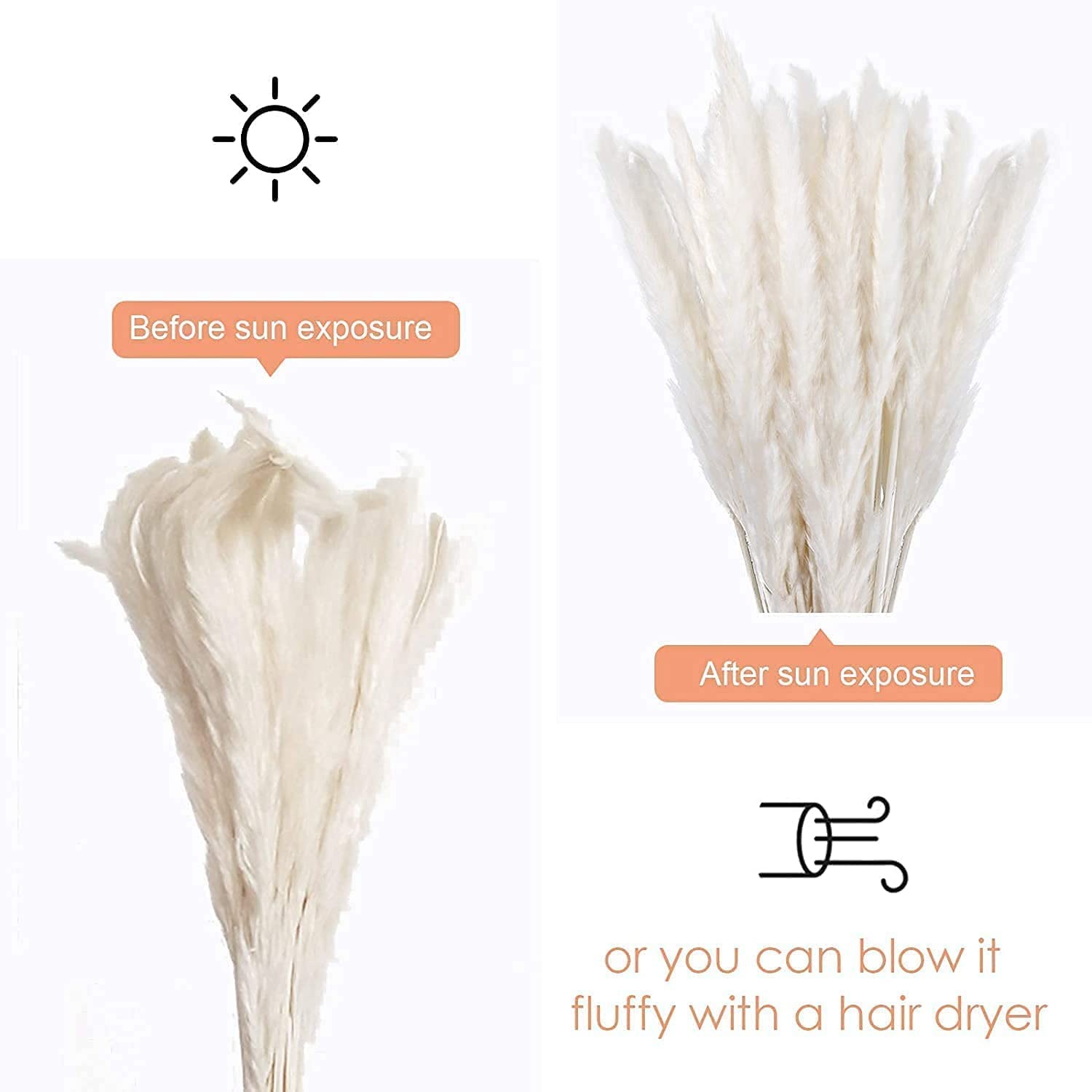 60 Pcs White Pampas Grass ,17 inch/45 cm Natural Dried Pampas Grass Branches …