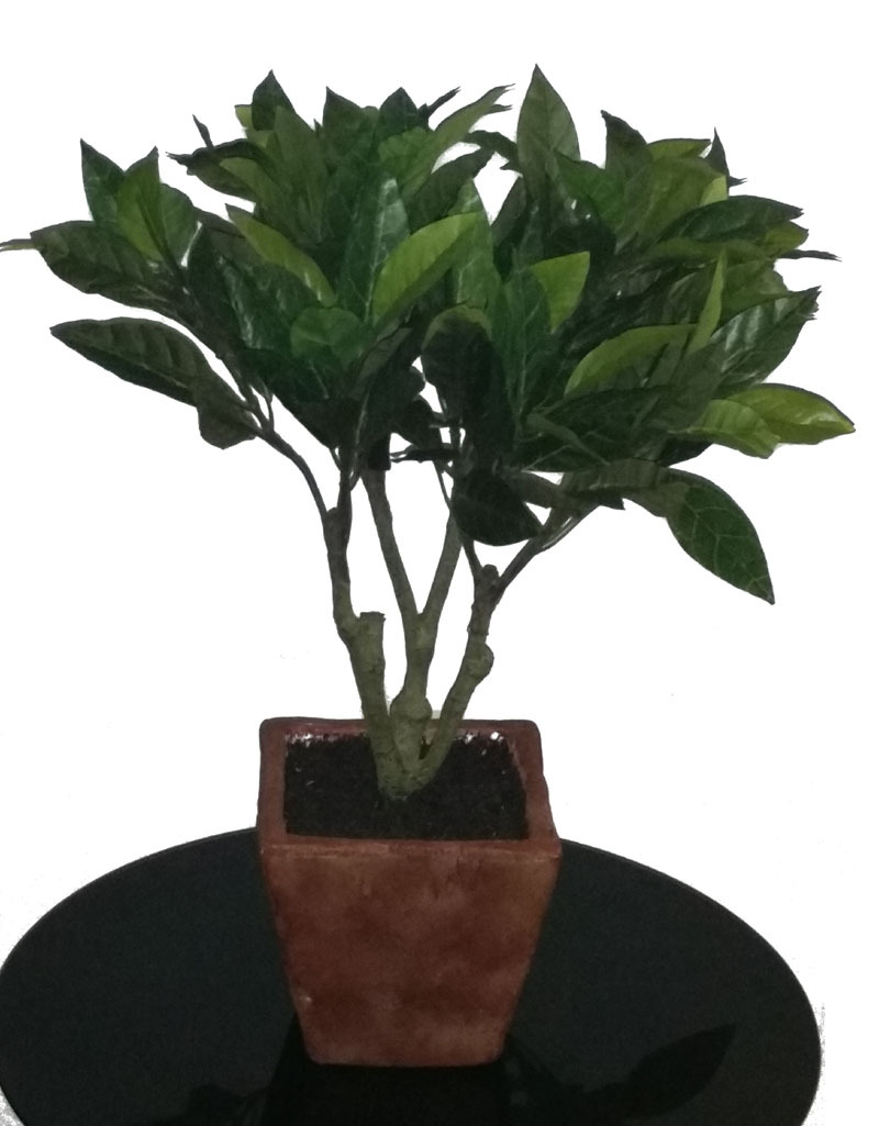 Artificial Dwarf 18″ Bay Leaf Laurel Tree Silk Potted