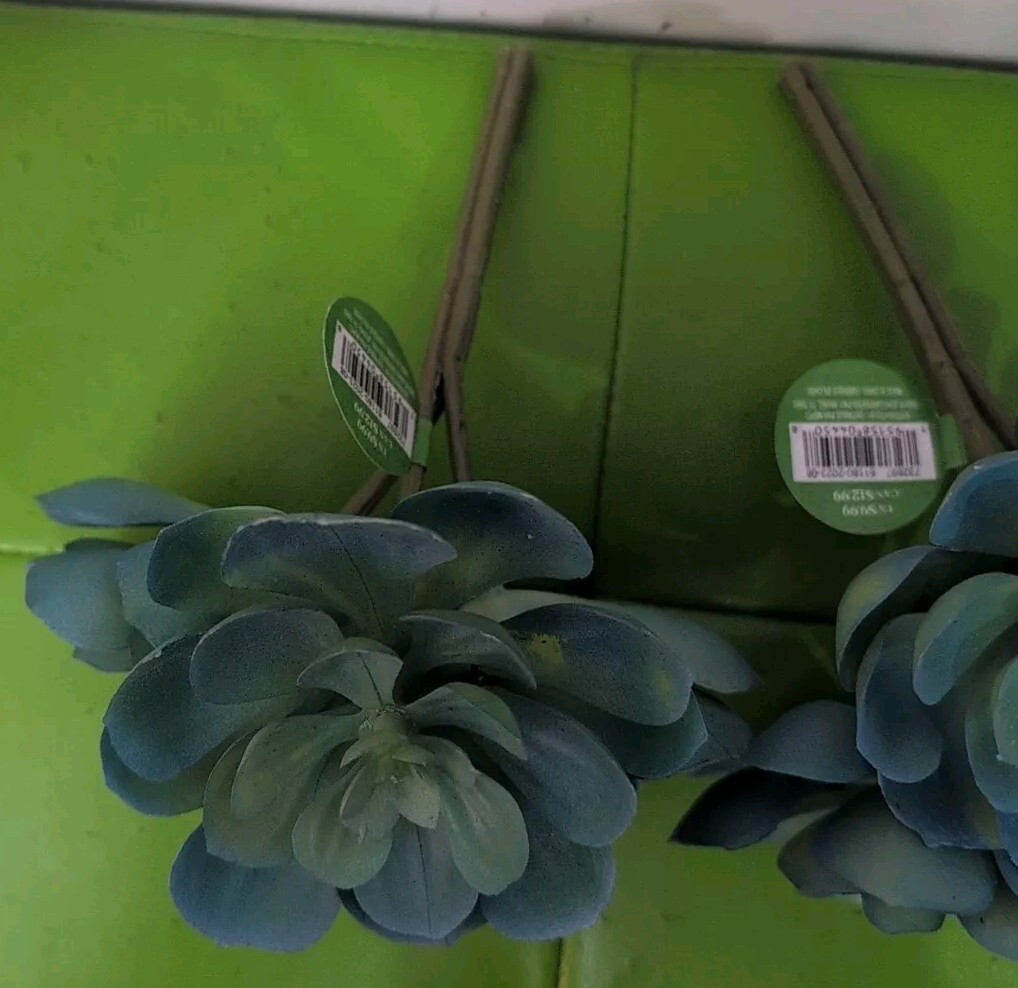Artificial Green Blue Cluster Succulents Echeveria (3) Picks Spring
